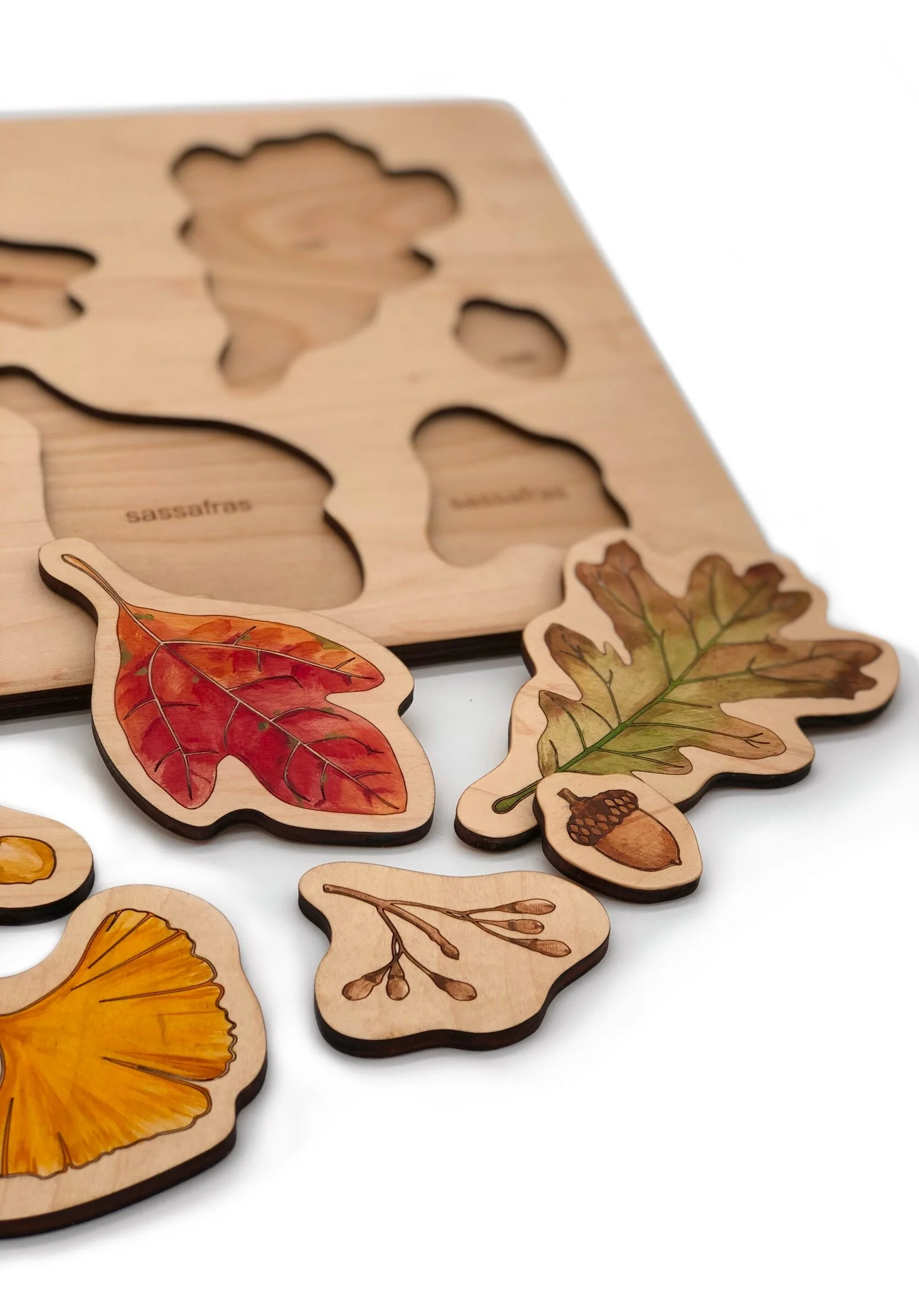 Wooden_Puzzle_Fall_Leaves_Seeds_3.jpg