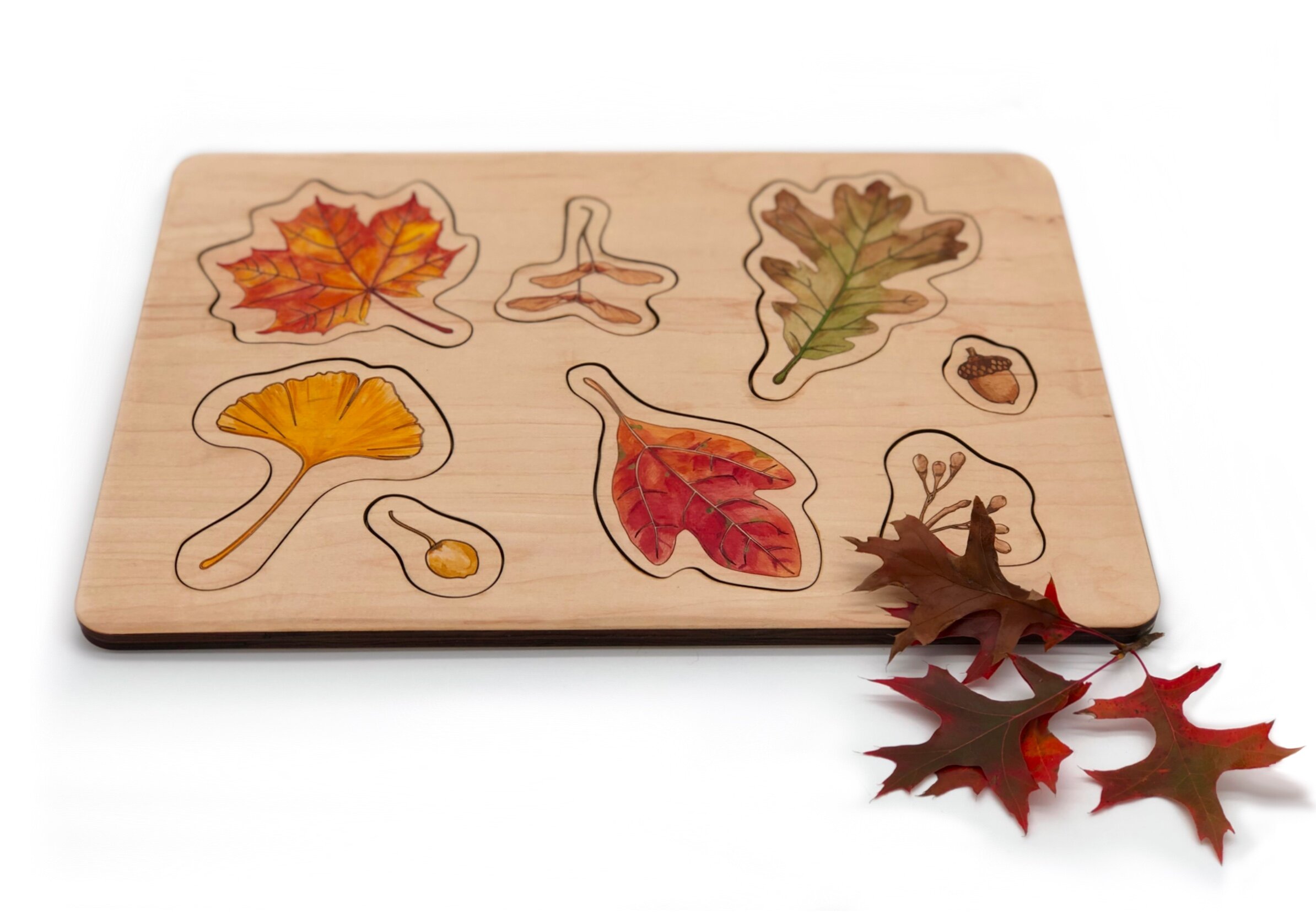 Wooden_Puzzle_Fall_Leaves_Seeds_4.jpg
