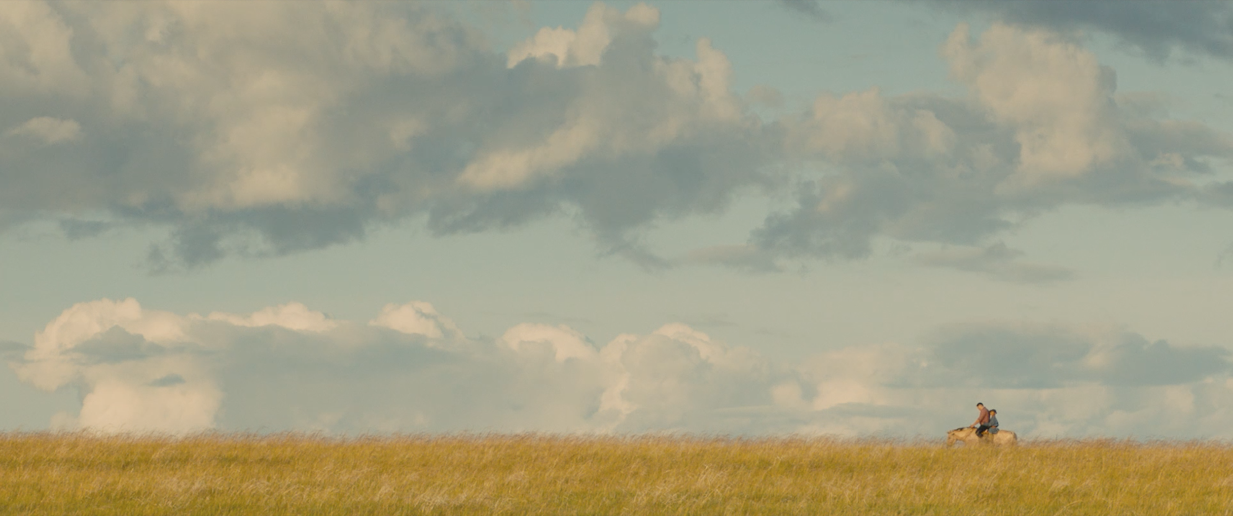 Screen Shot 2019-12-03 at 1.25.42 PM.png