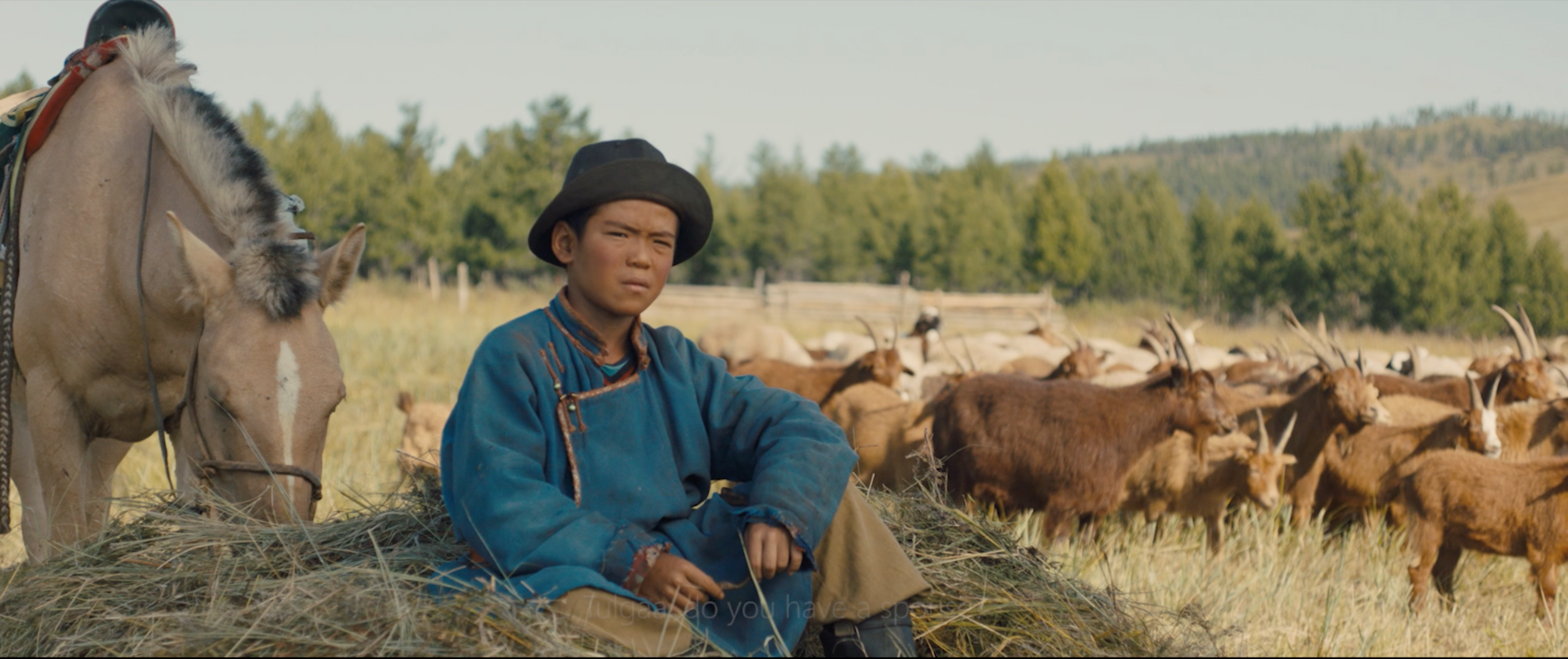 Screen Shot 2019-12-03 at 1.26.37 PM.png