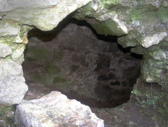 Hidden defence chamber