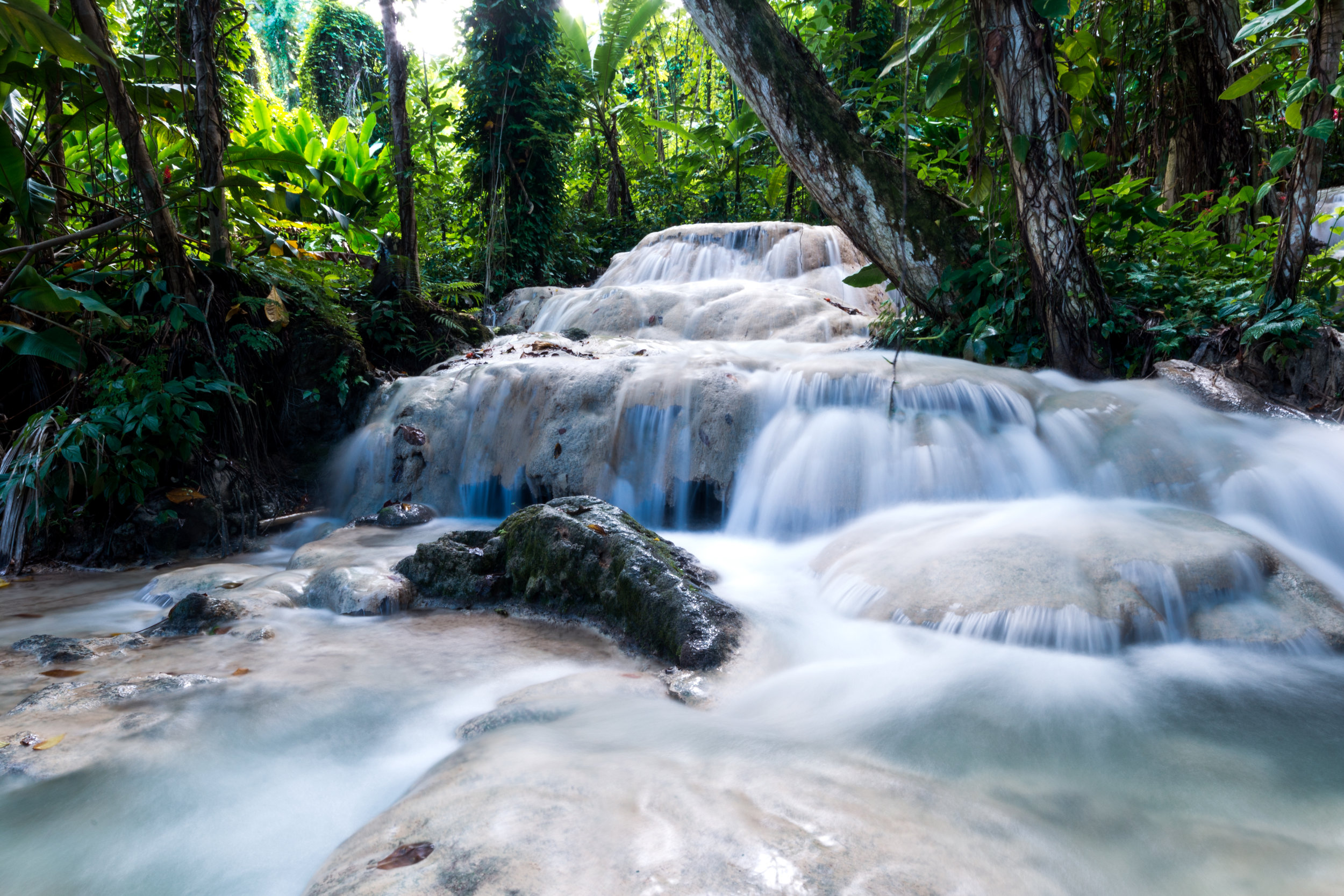 DSC_2212-Edit-2.jpg