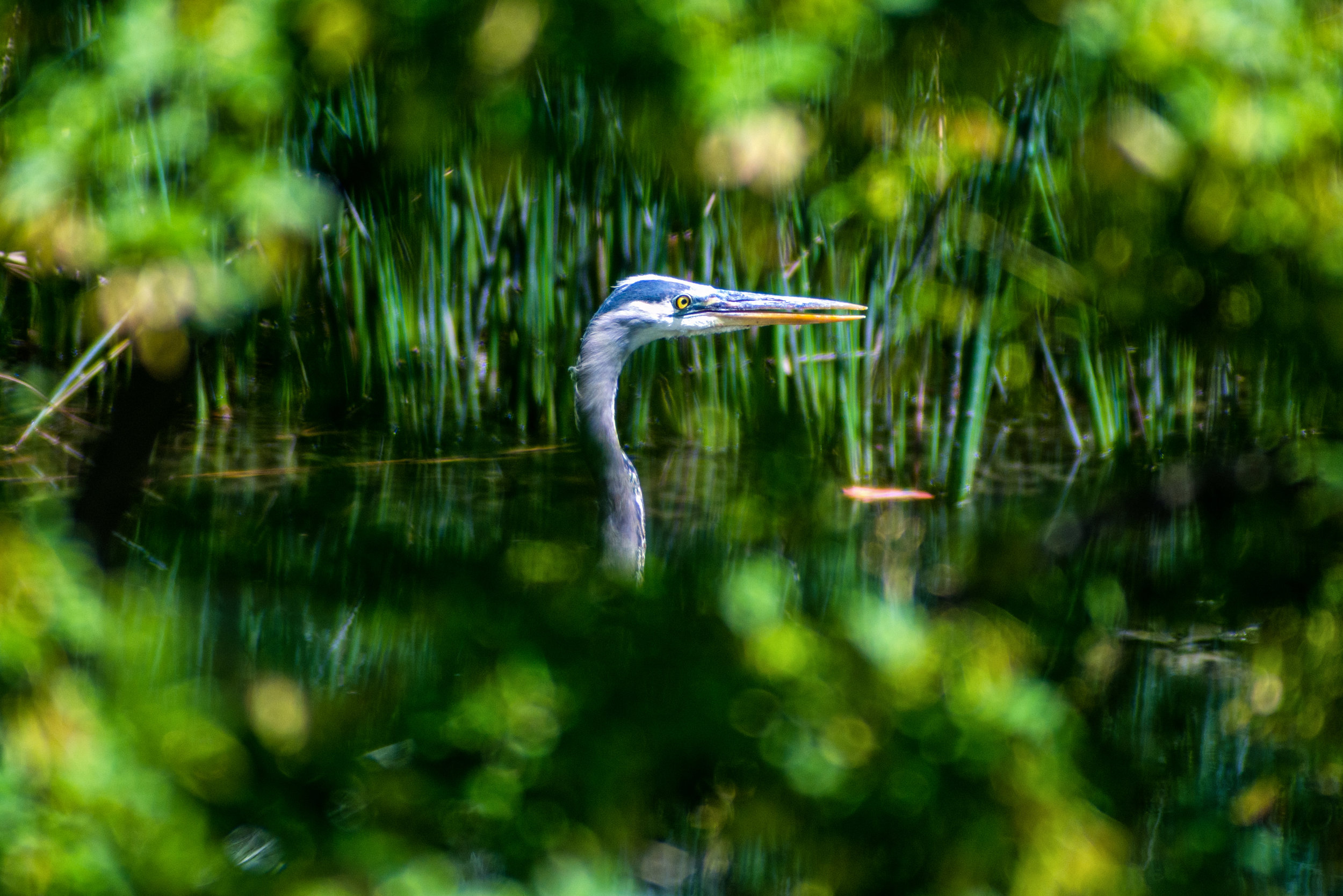 DSC_2575-Edit.jpg