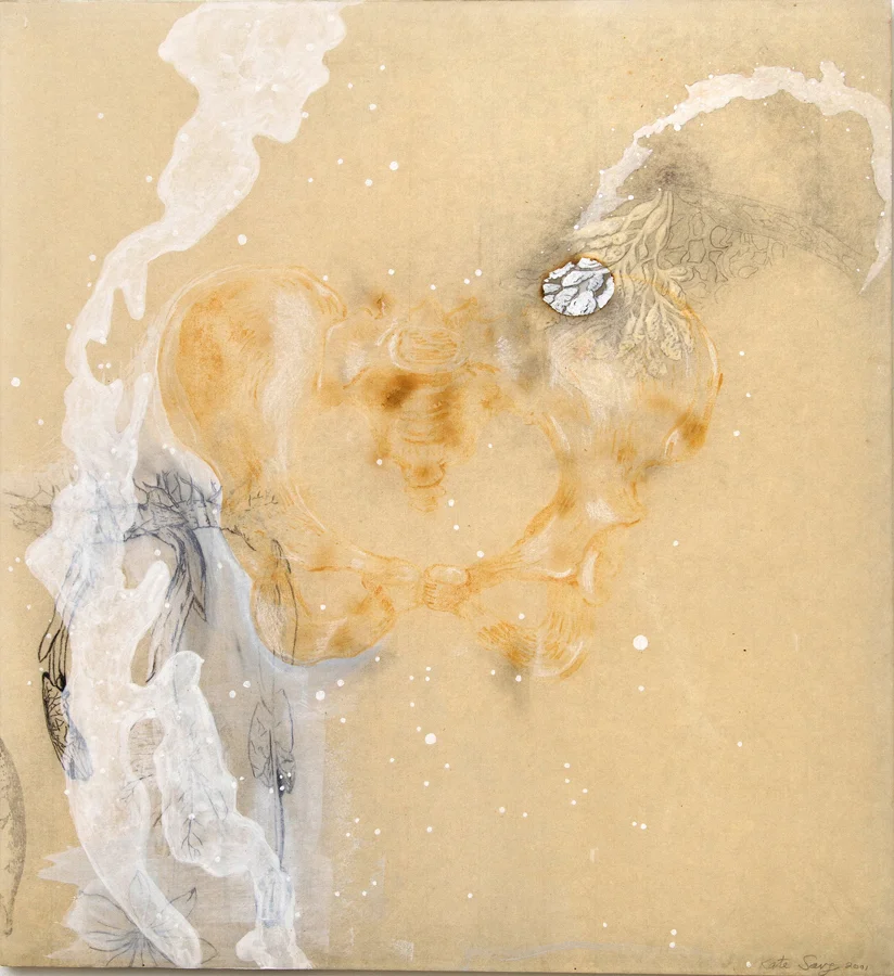 Milk Pelvis ©2001 Acrylic, Milk, Graphite and Transfer on paper and Acrylic Panel 22" x 20"