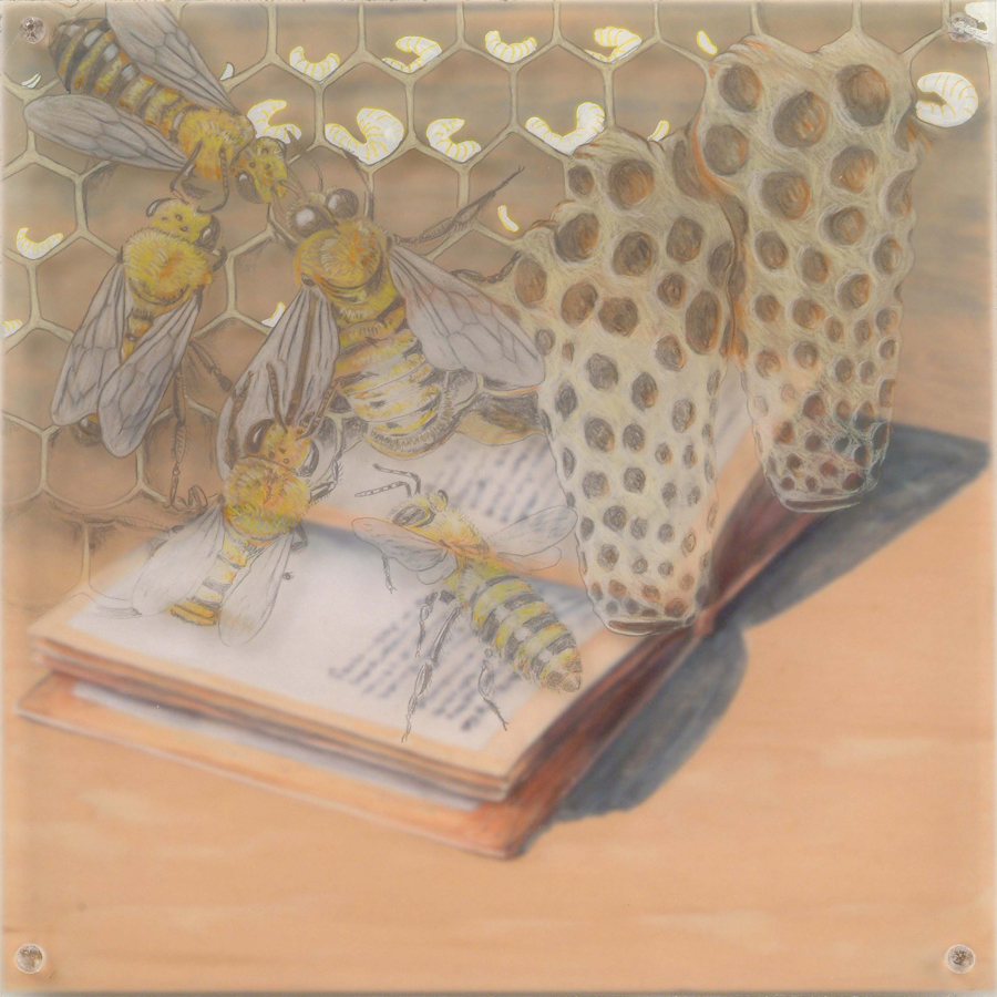   Bees Book  © 2004 Acrylic, Egg Tempera, Colored Pencil on Acrylic and Wood Panel 10" x 10" 