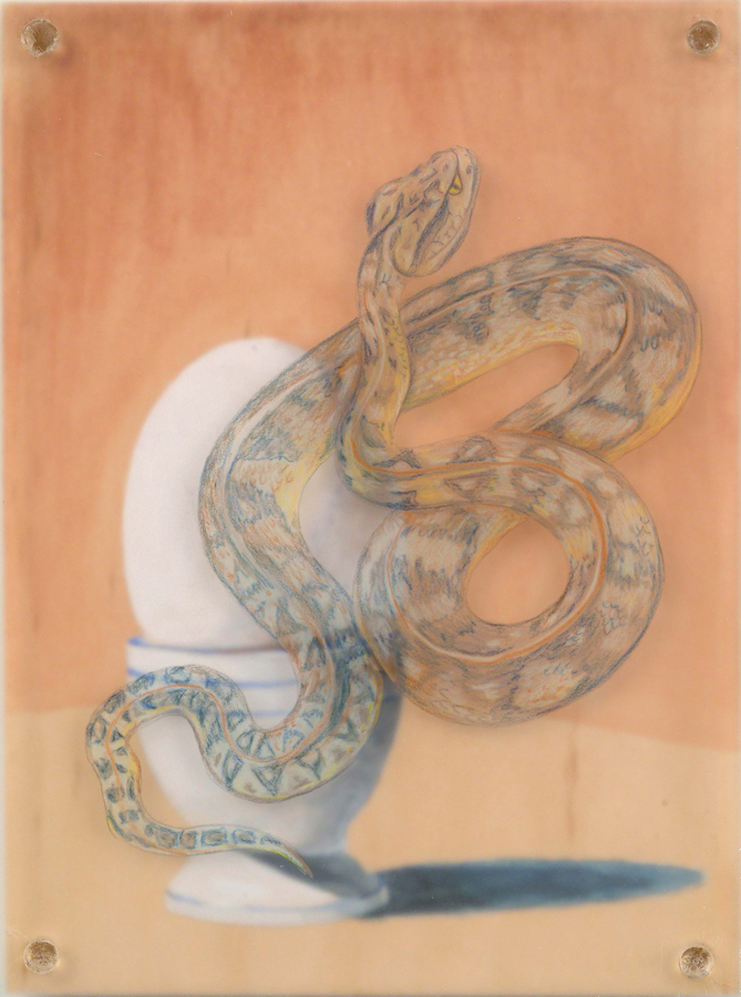   Snake Egg  © 2003 Egg Tempera and Colored Pencil on Acrylic and Wood Panel 8" x 6" 