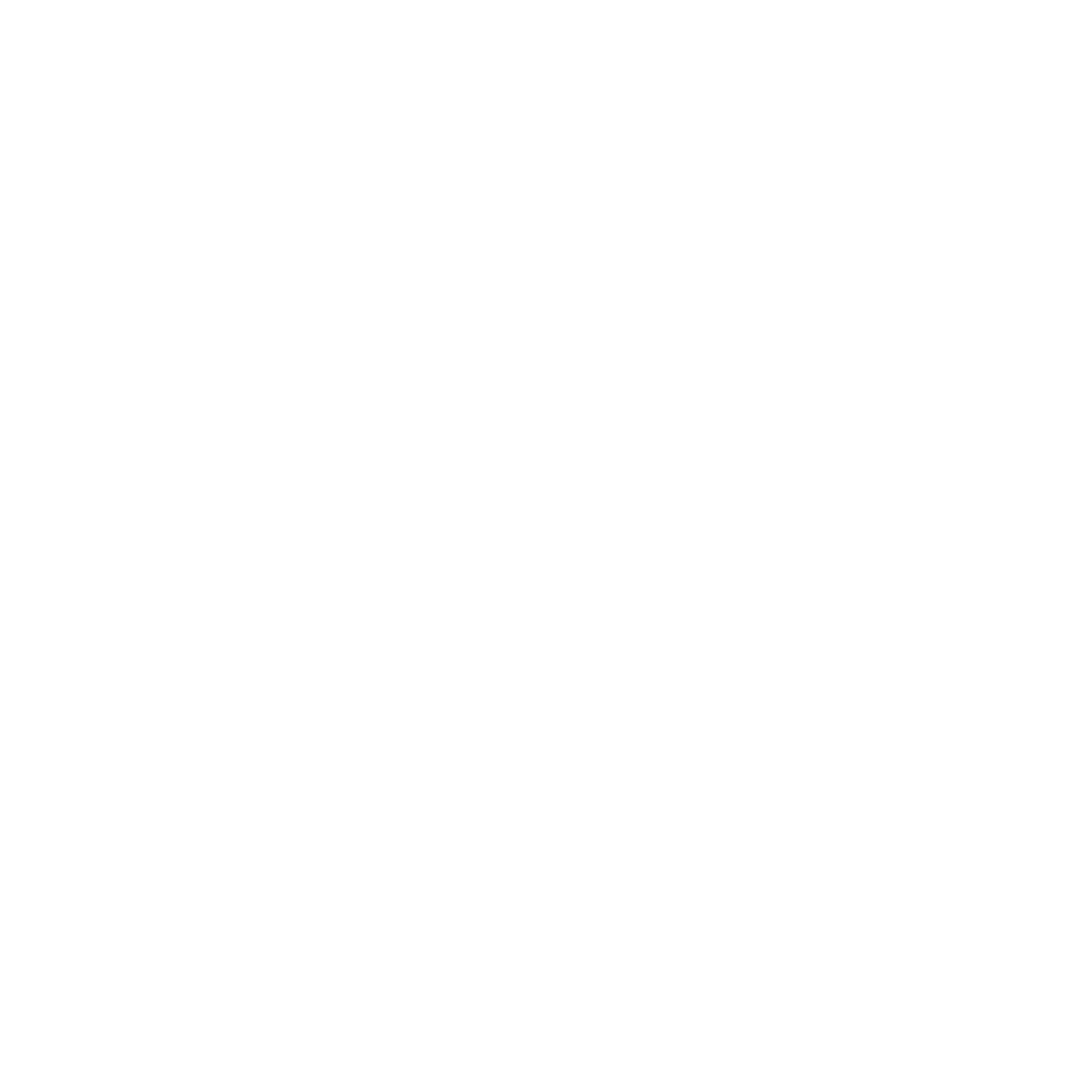 LOGOSOUP_calhoun.png