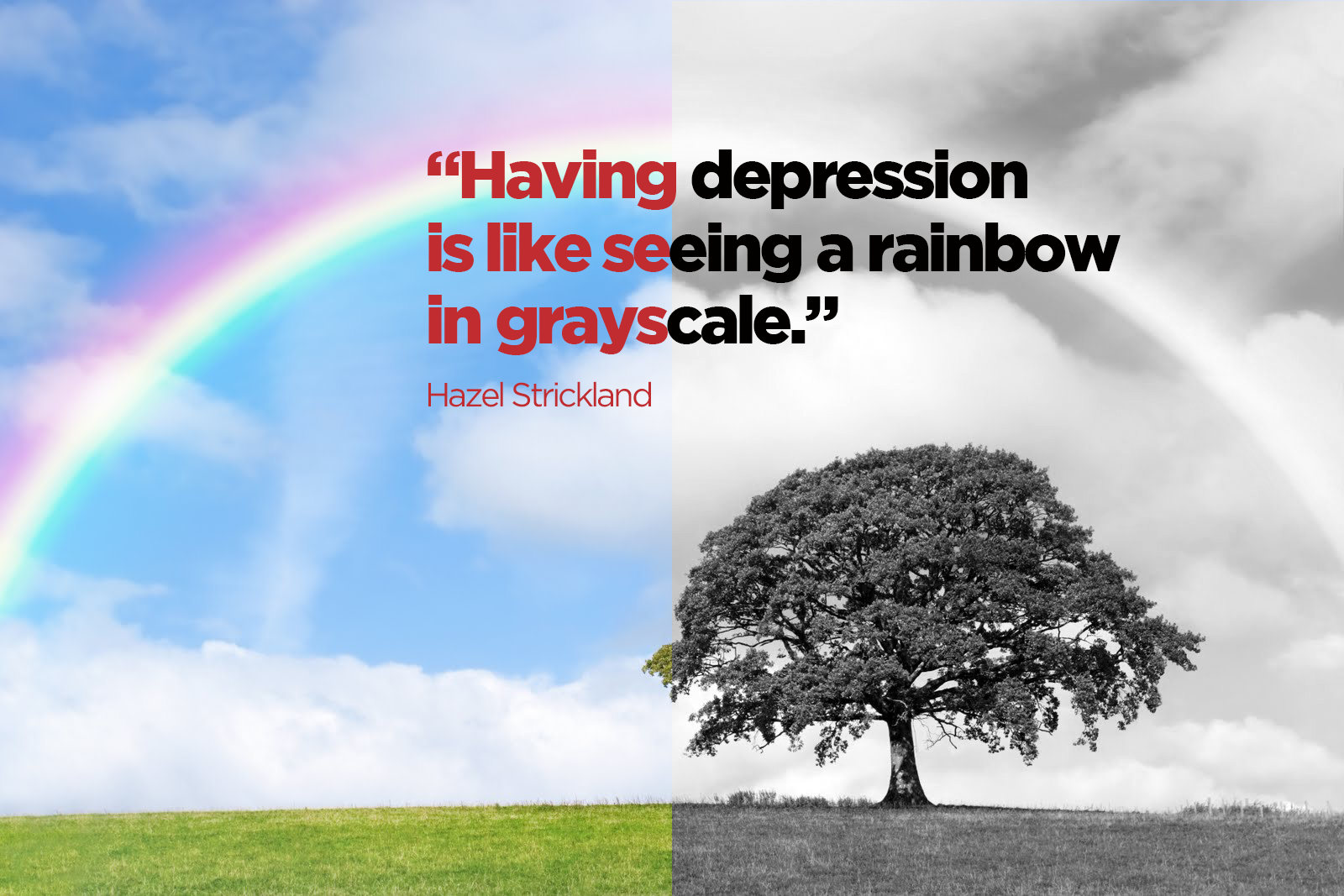 rain_bow.png