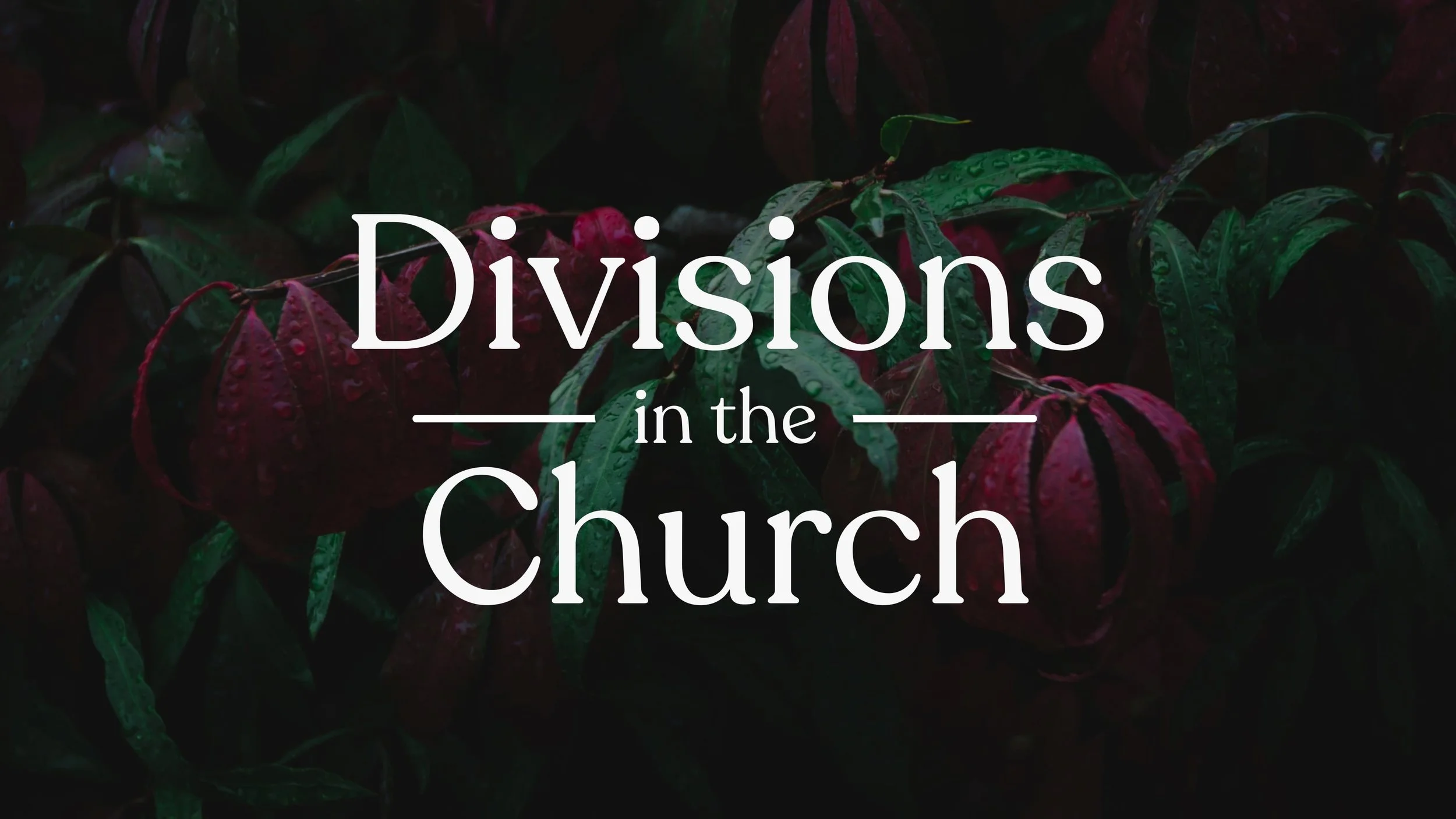 Divisions in the Church — Immanuel Church