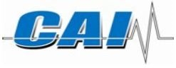 CAI logo.JPG