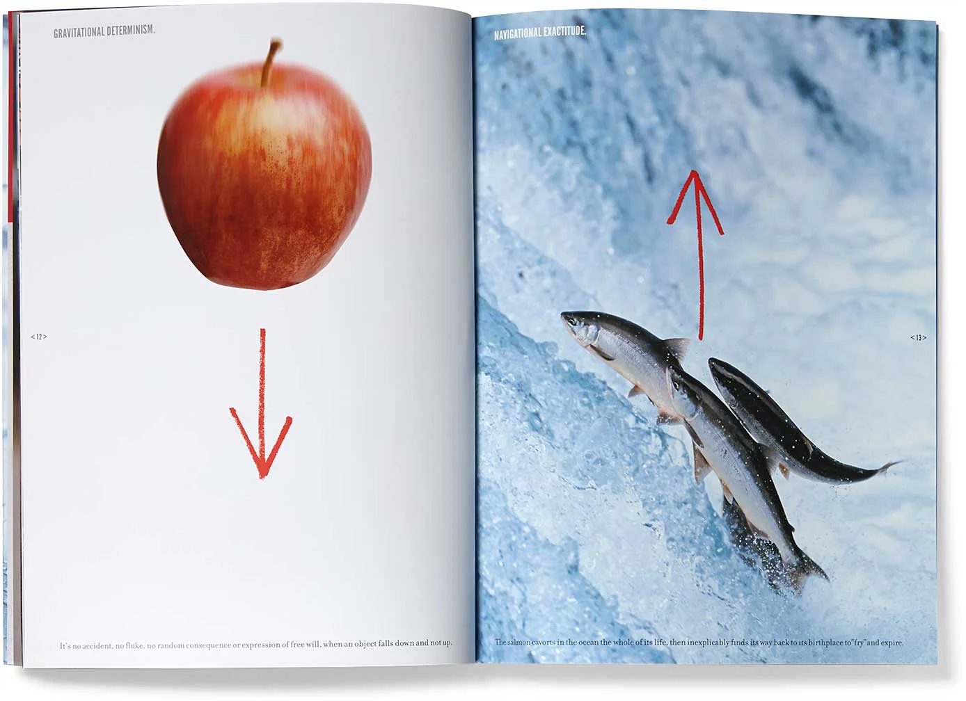 storaenso_depend-productolith-apple-fish_e.jpg