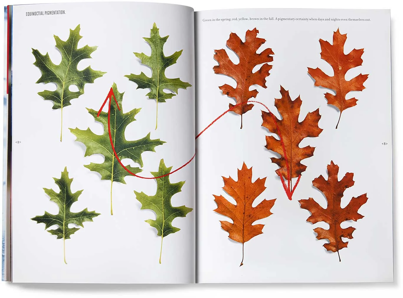 storaenso_depend-productolith-leaves_d.jpg