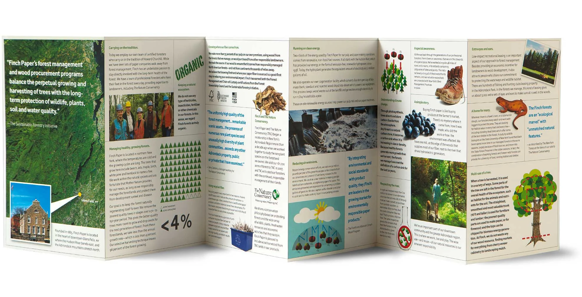 finch-paper_green-guide_b.jpg