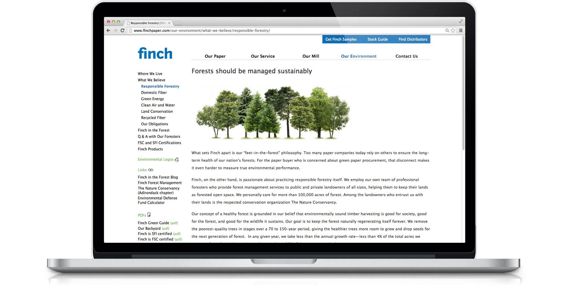 finch_web_environment_forest.jpg