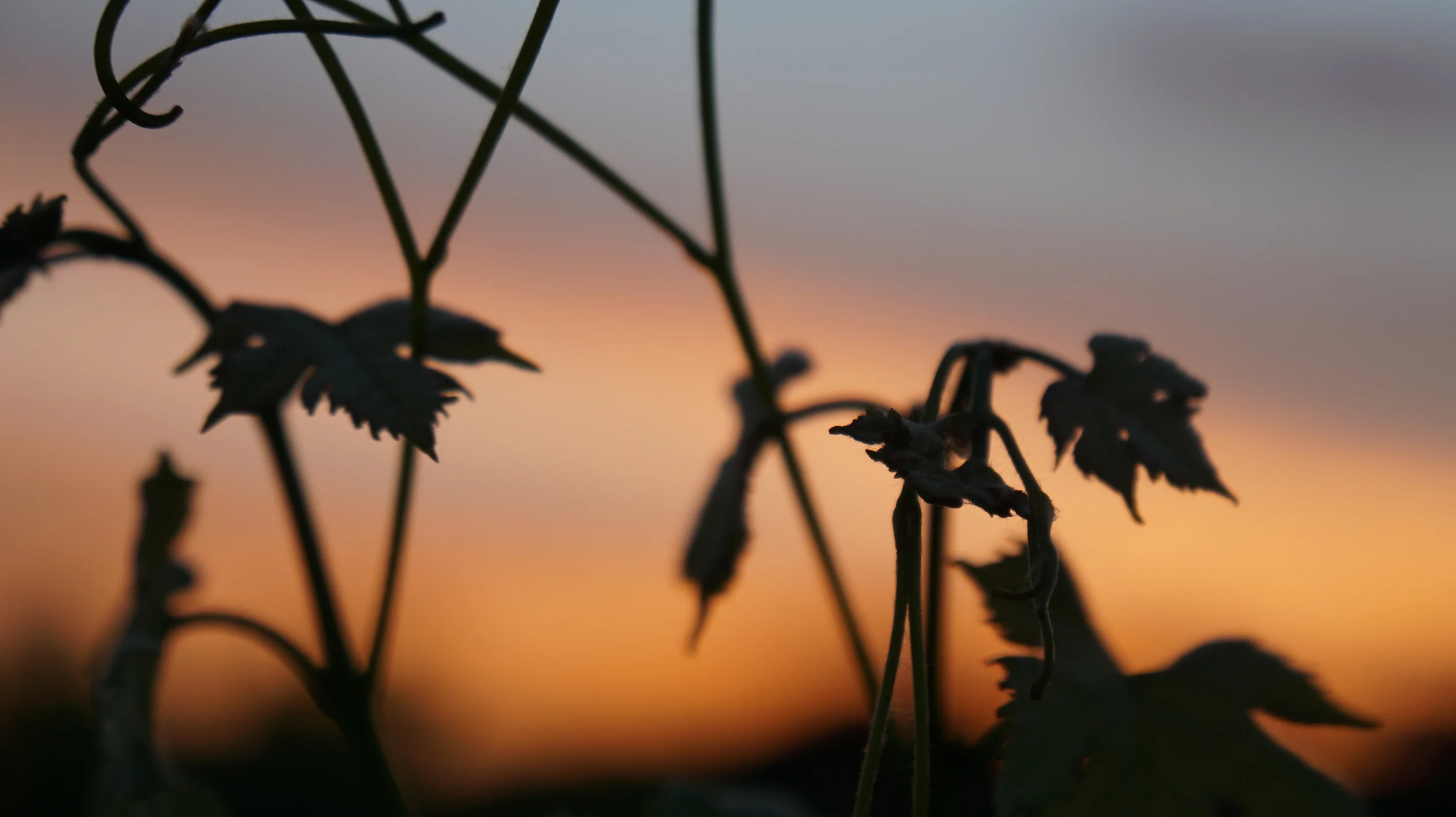 150107 Providenc 086 .JPG