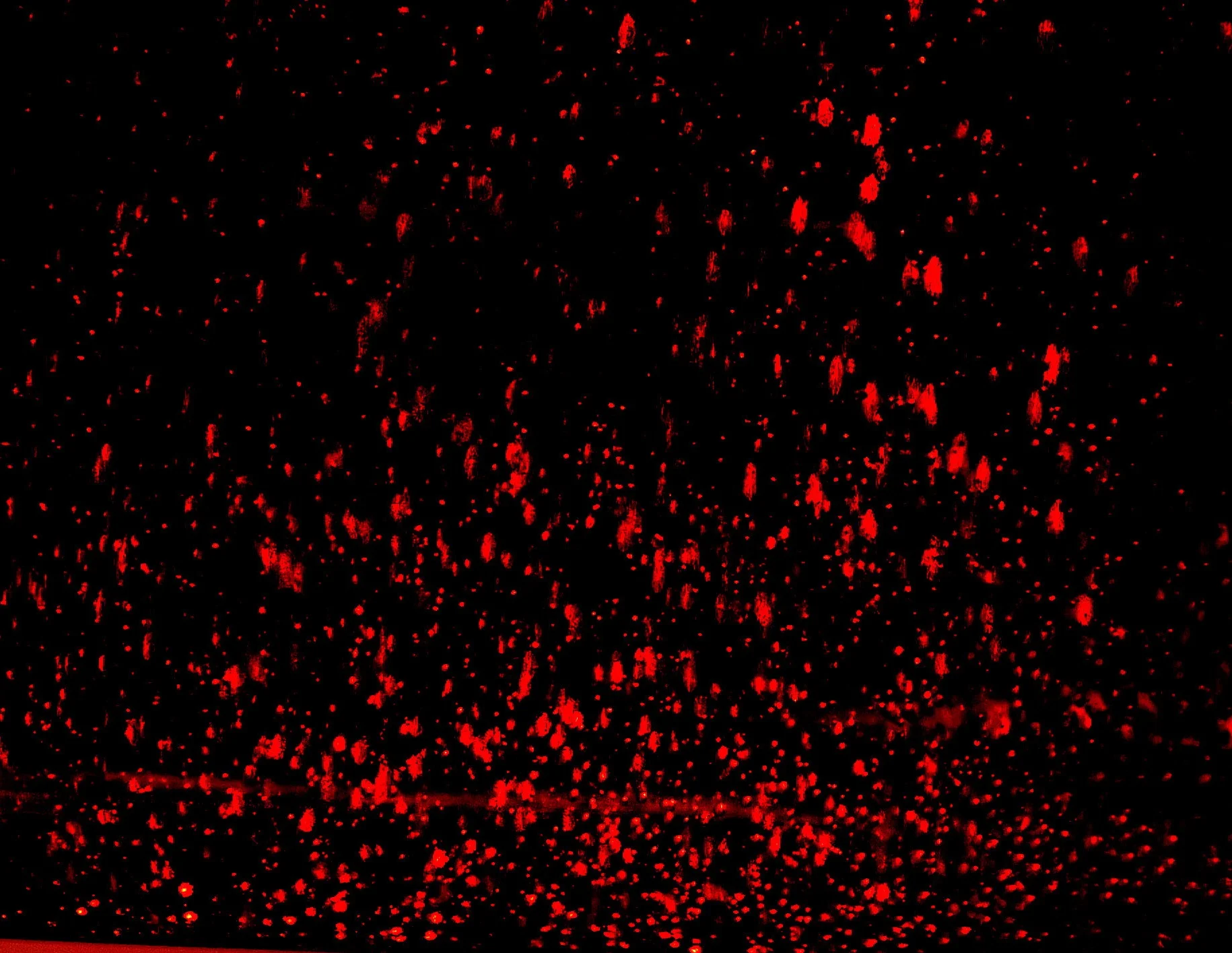 150812 Providenc 237 _01.JPG