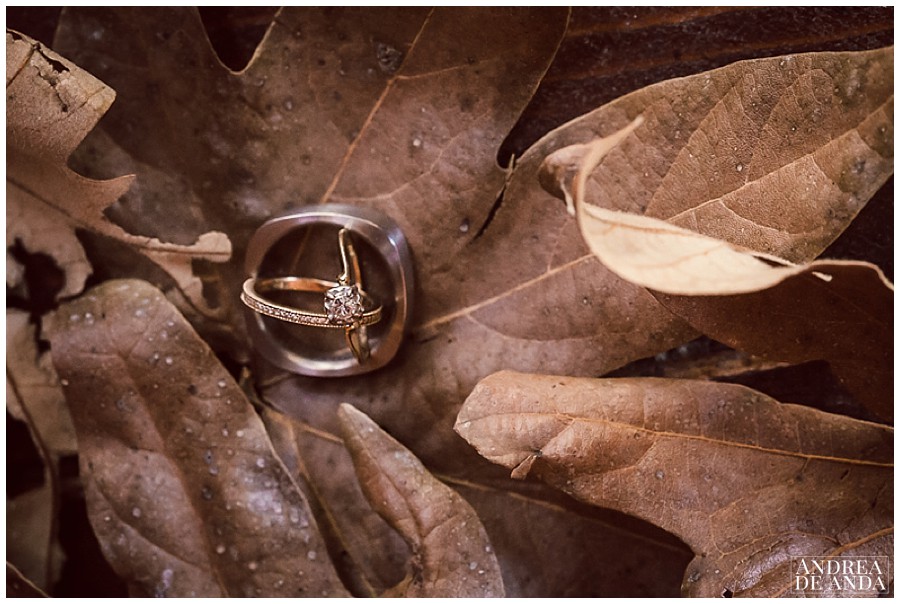 I love shooting engagement rings and wedding bands.