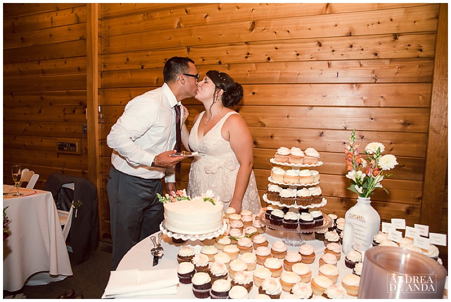 cake cutting 