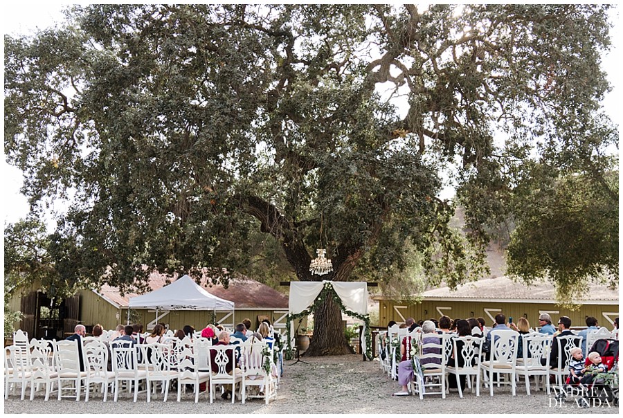 The ceremony site at Rancho San Antonio was to die for, the altar underneath an oak tree a crystal chandelier, mixed and match white vintage chairs and all their family and friends