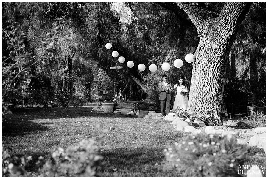 Bride walking down the aisle arms linked with her father at Rancho San Antonio, Chinese lanterns, oak trees and pepper trees leading the way !