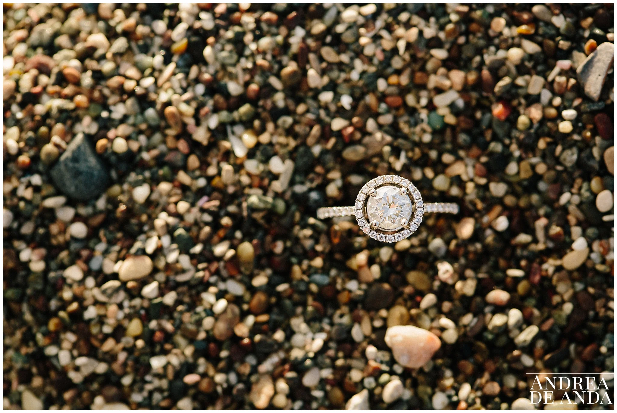 San Luis Obispo_Engagement session_Andrea de Anda Photography__0009.jpg