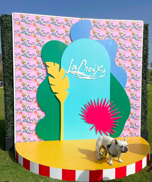 A small white dog with a black patch on its eye standing on a yellow platform with red and white stripes in front of a colorful backdrop. The backdrop features the text 'La Croix' and various abstract shapes and patterns.