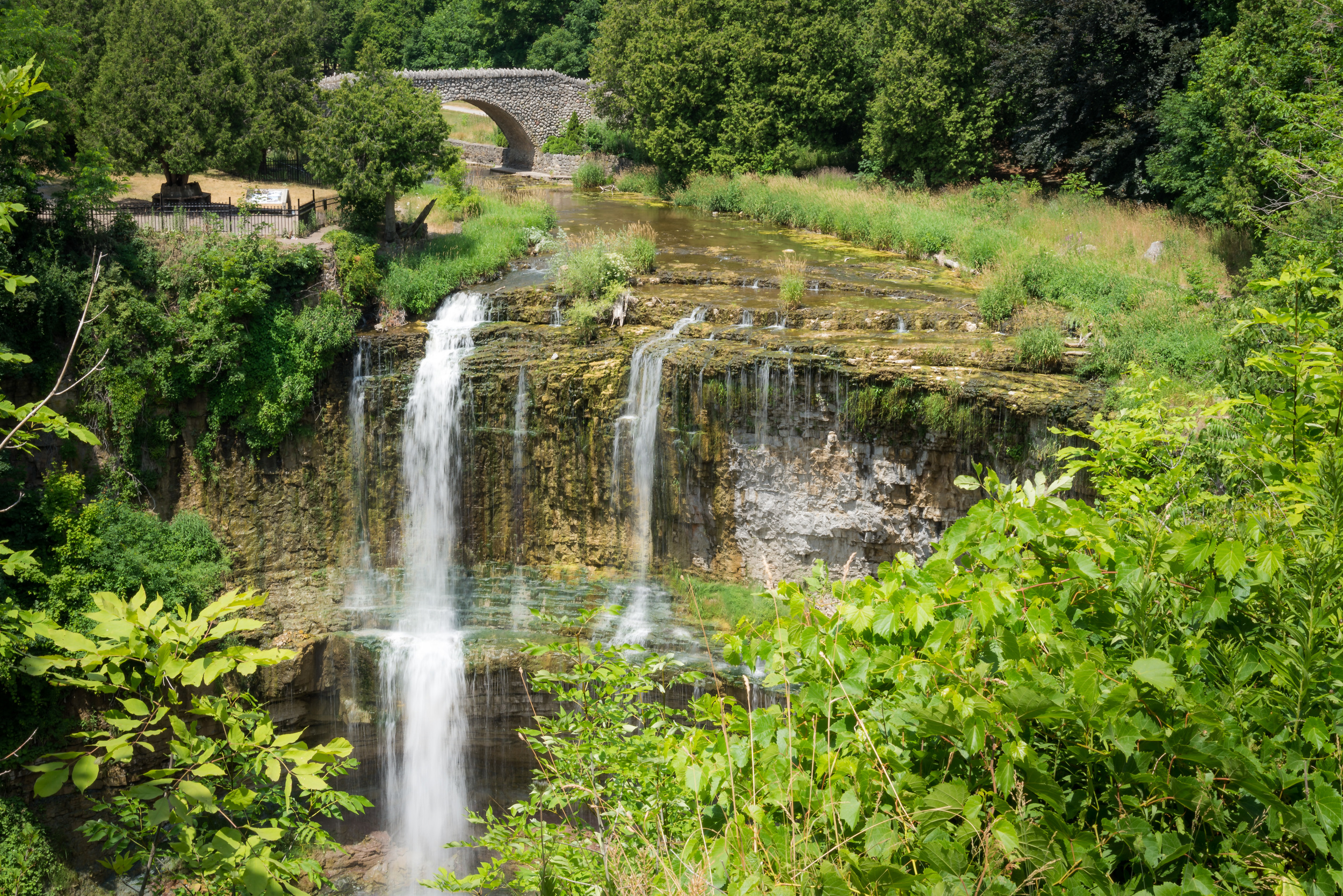 Webster Falls