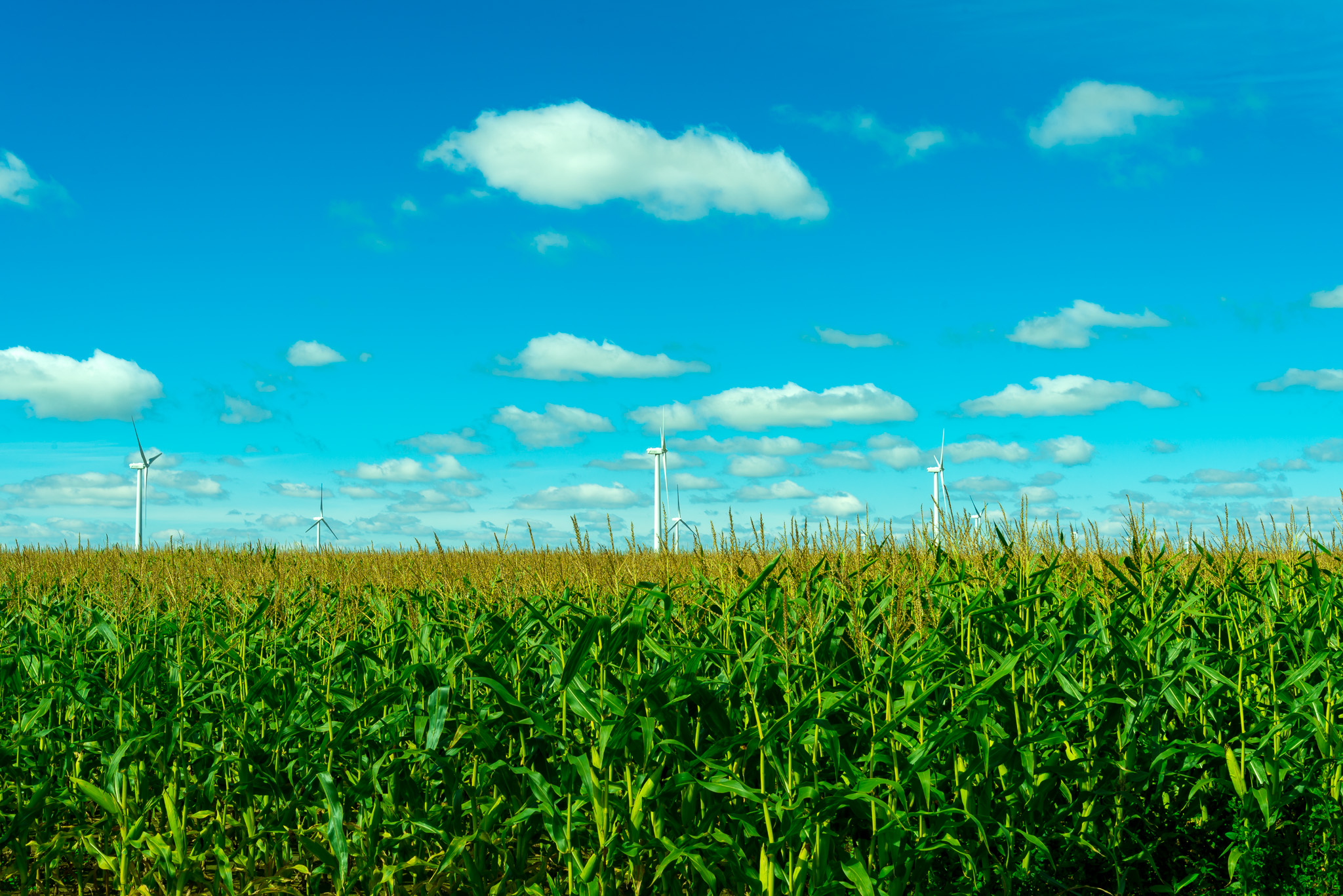 Windmill farm (1/125 sec, f/13, 100 ISO, 45mm)