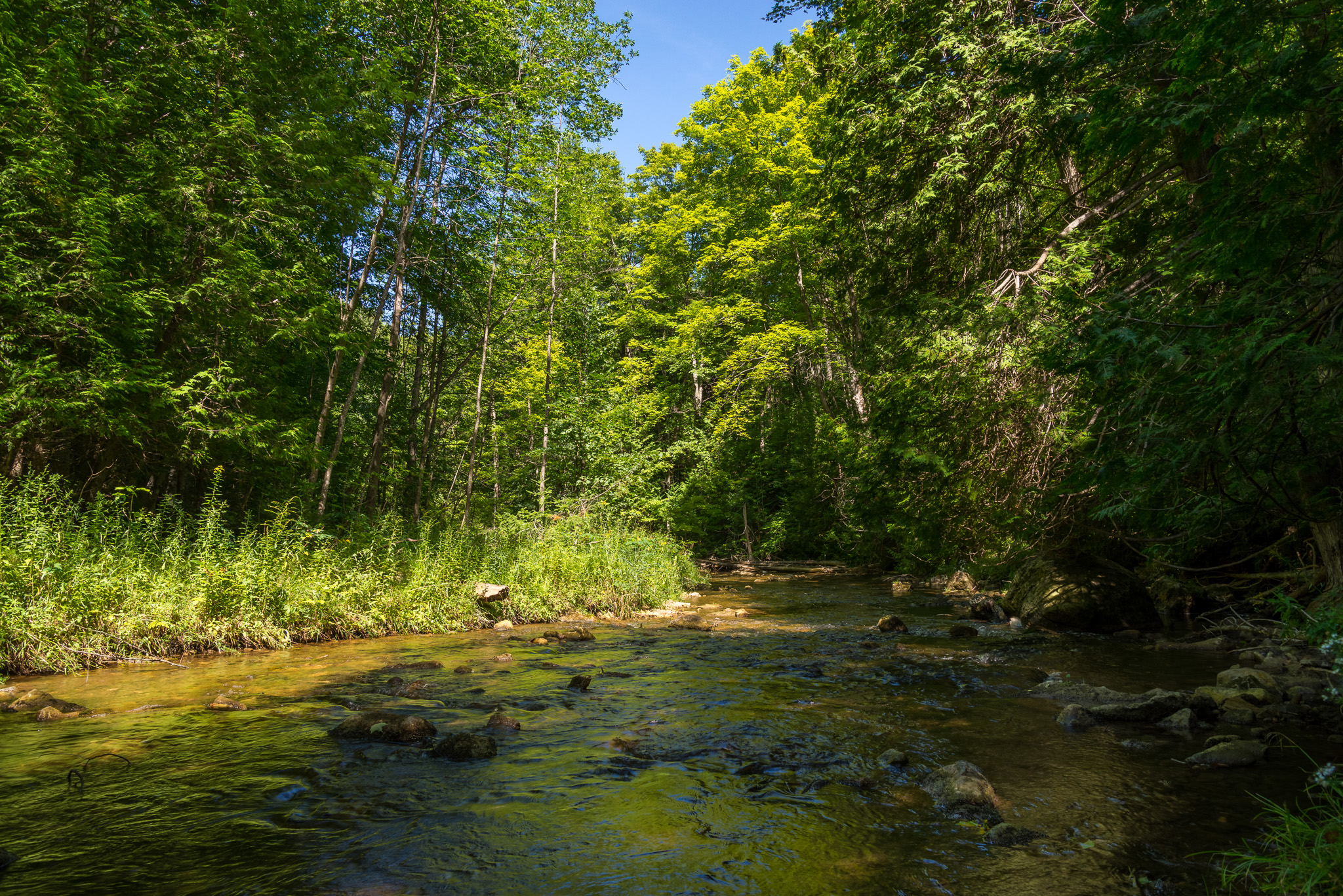 Boyne River upstream from Hoggs Falls (1/25 sec, f/11, 125 ISO, 24mm)