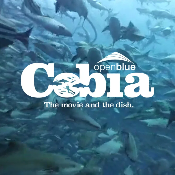 New to the Menu – Cobia