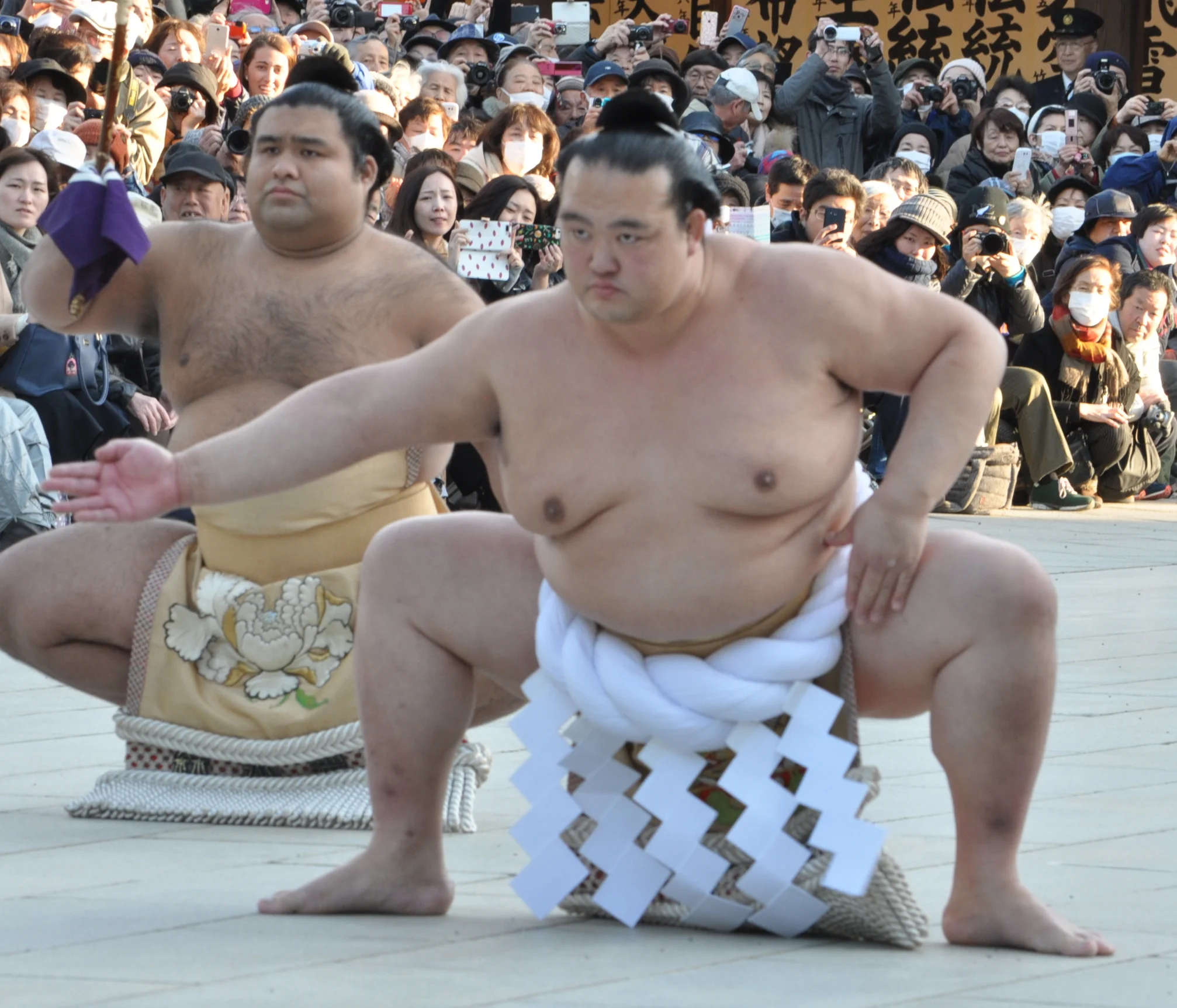 By 江戸村のとくぞう - Own work, CC BY-SA 4.0, https://commons.wikimedia.org/w/index.php?curid=55436521