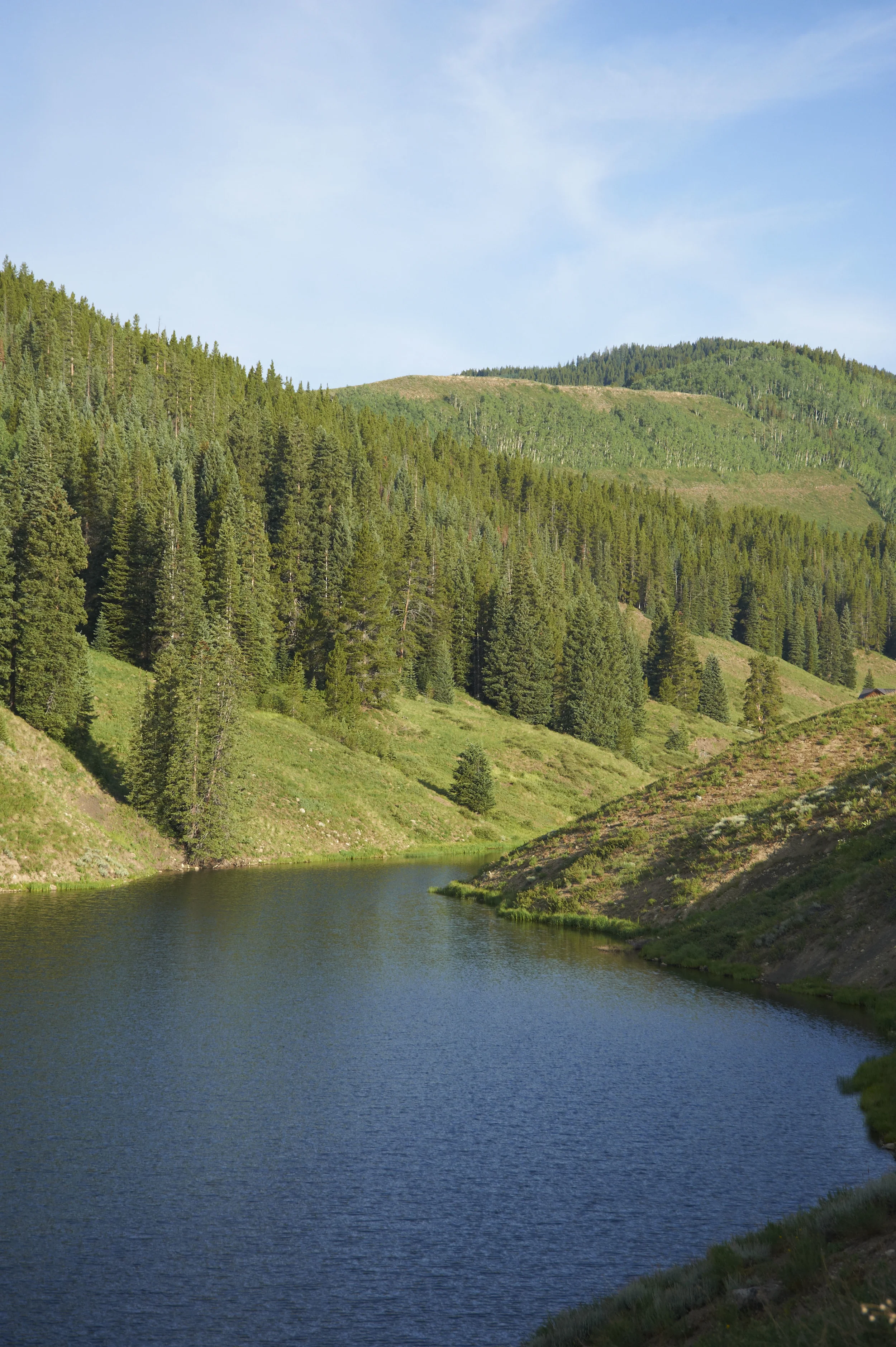 Crested Butte82.jpg