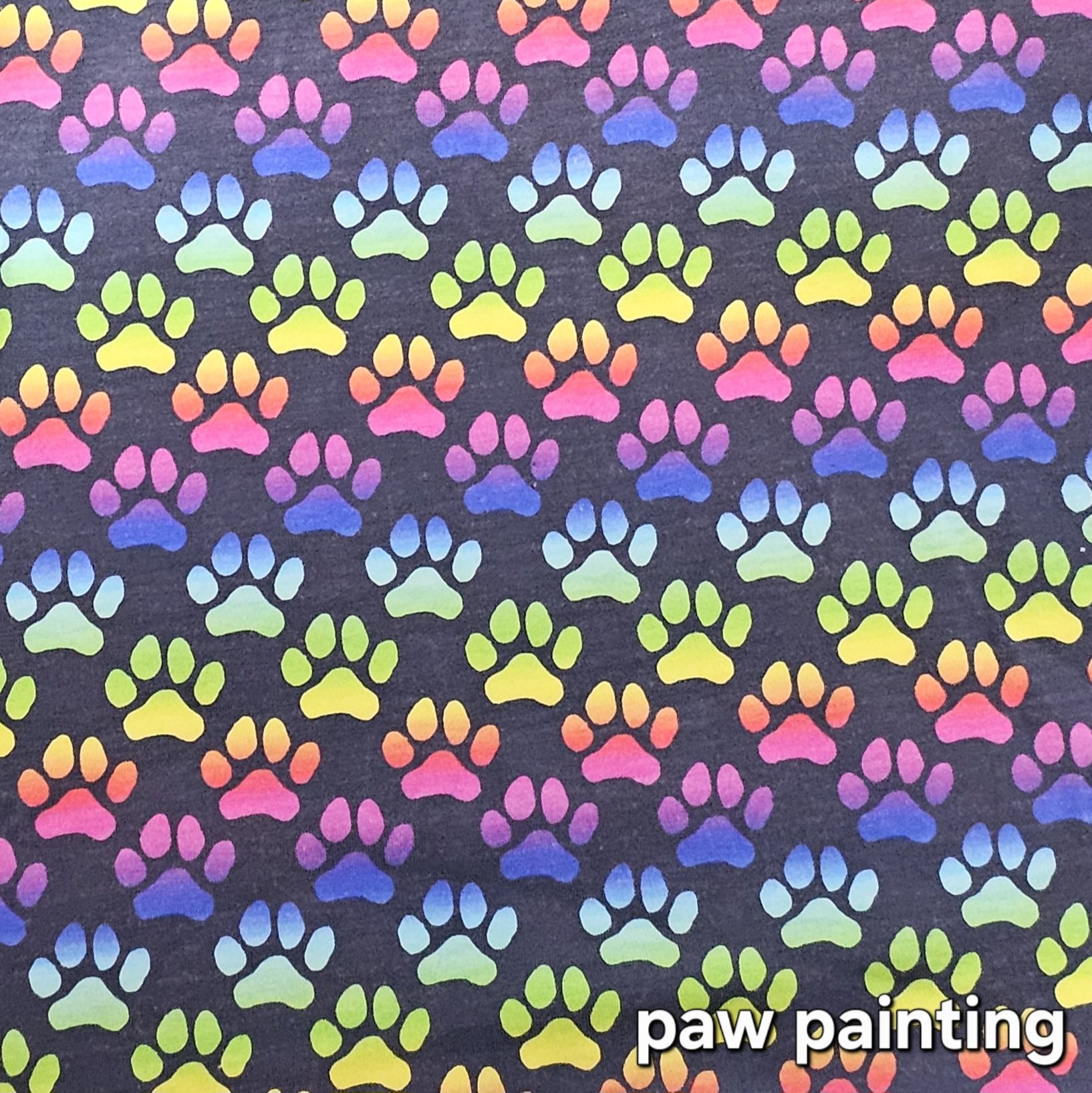 Paw Painting.jpg