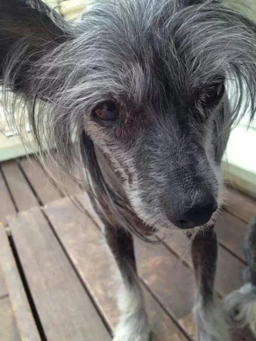 Alley was a very patient soul with stacks of love to spare