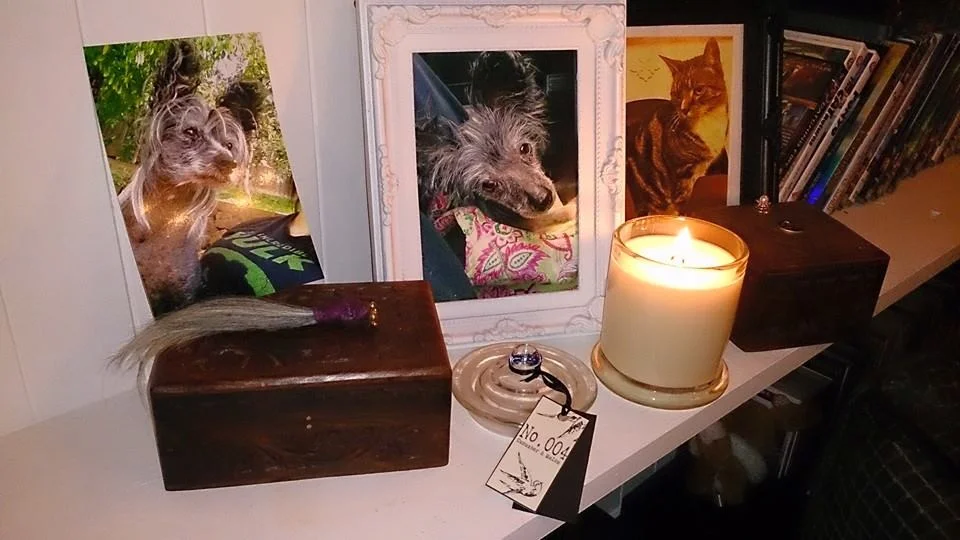 Alley now has a space next to Simba on our remembering shelf