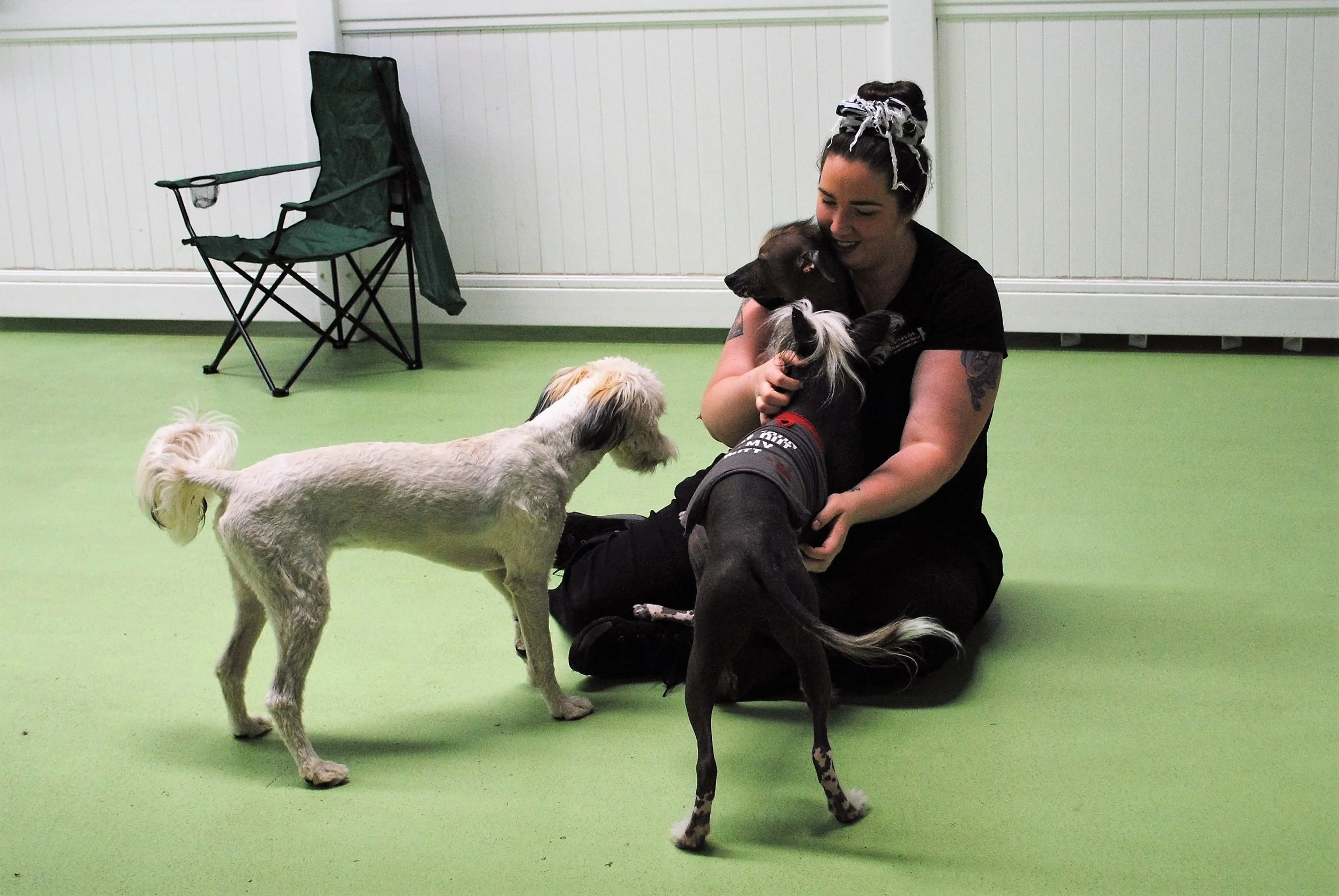 Laura having a moment with the boys - this is the first time the boys have seen her since they were 14-16 weeks old - they remembered her well!