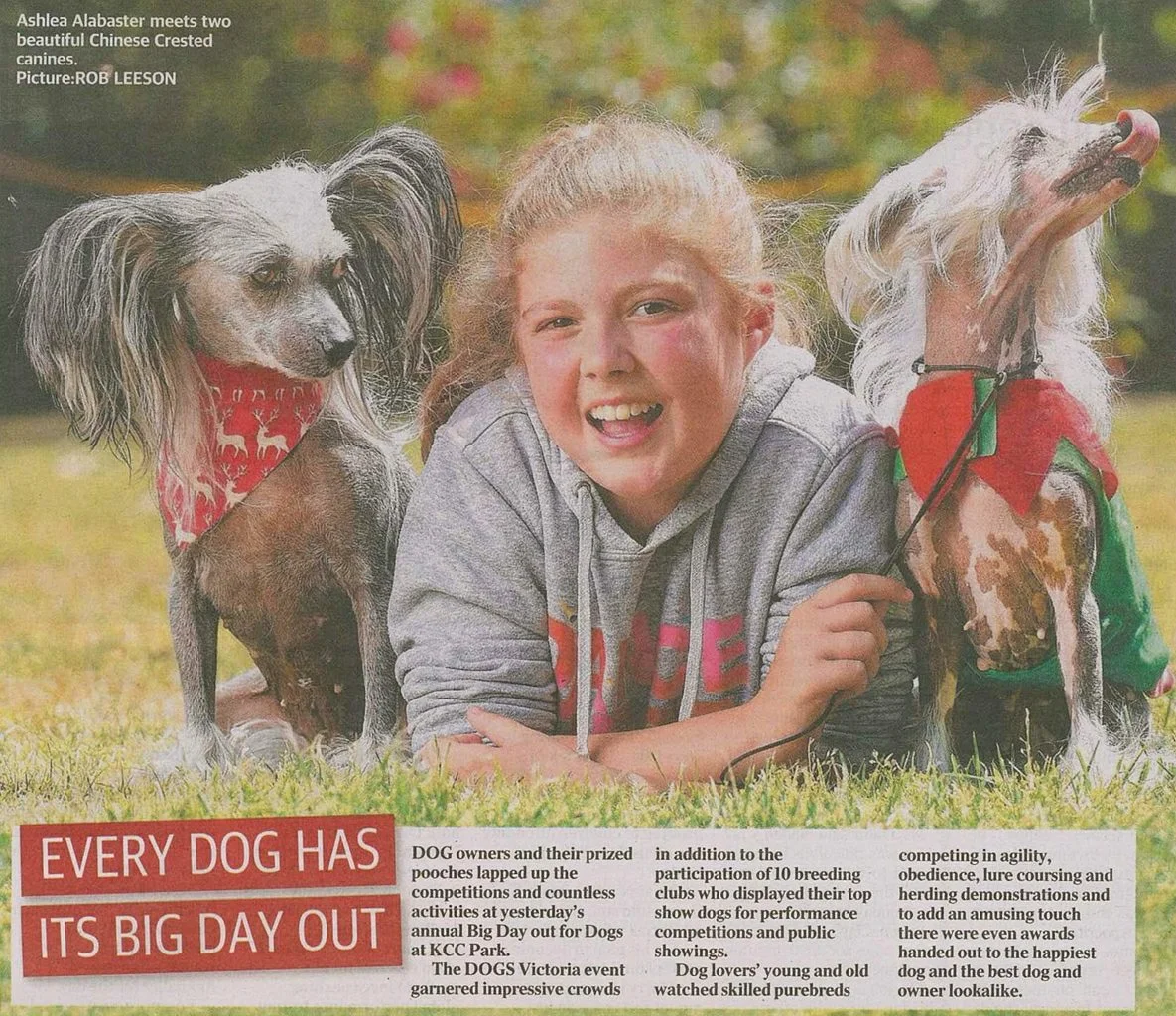 Even though No Hairs Ark wasn't mentioned, we're pretty rapt to see Holly decked out with her Whippet and Moo in print