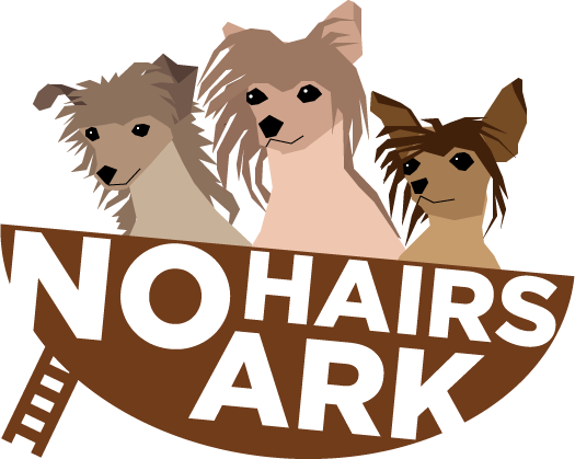 No Hairs Ark Chinese Crested Rescue