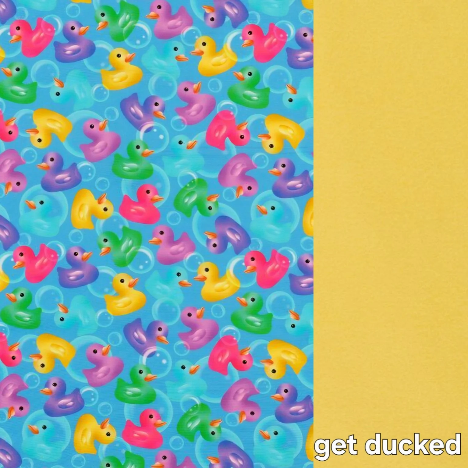 Get ducked (1).jpg