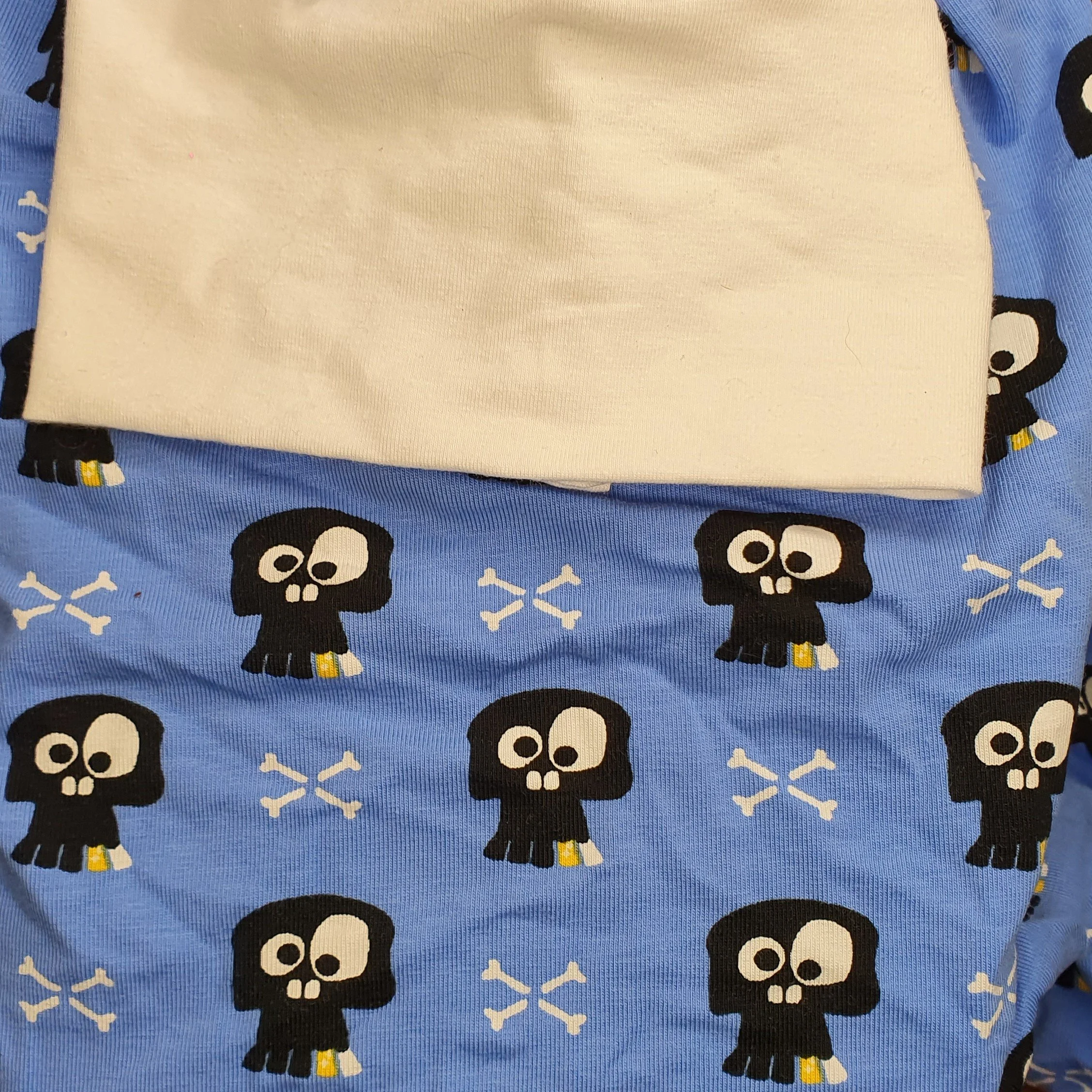 Blue Skulls Crop.jpg