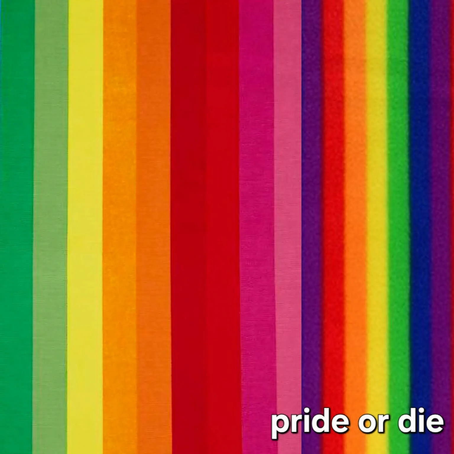 pride or die.jpg