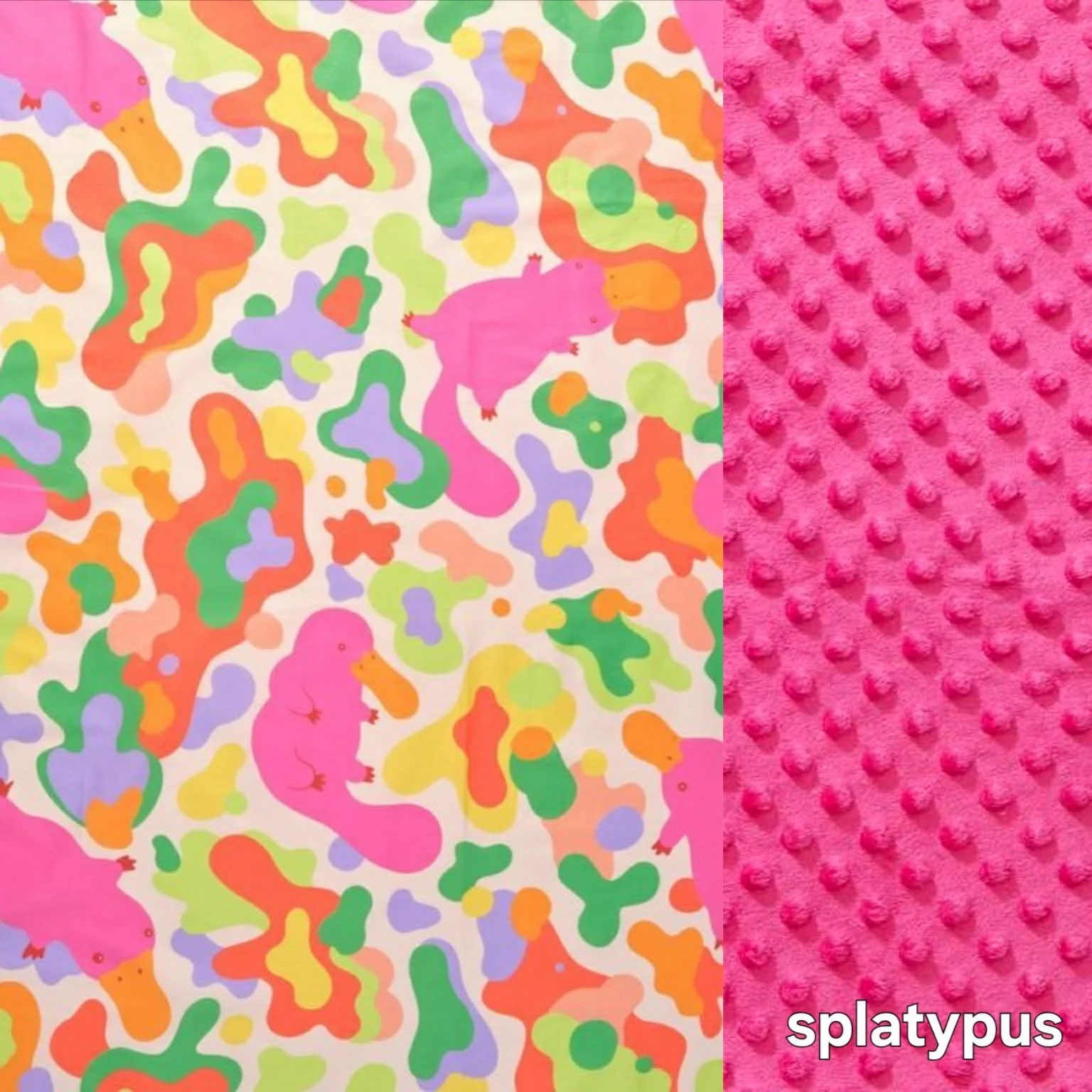 Splatypus.jpg