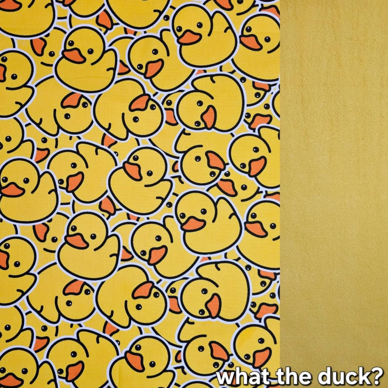 What the Duck.jpg