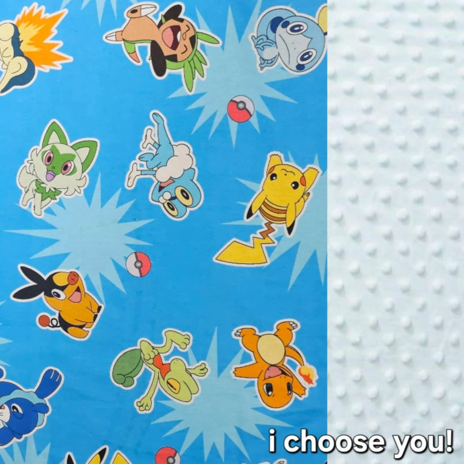 I Choose You.jpg