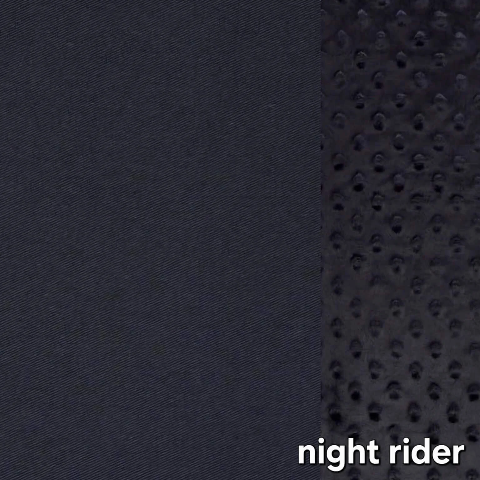 Nightslinger.jpg
