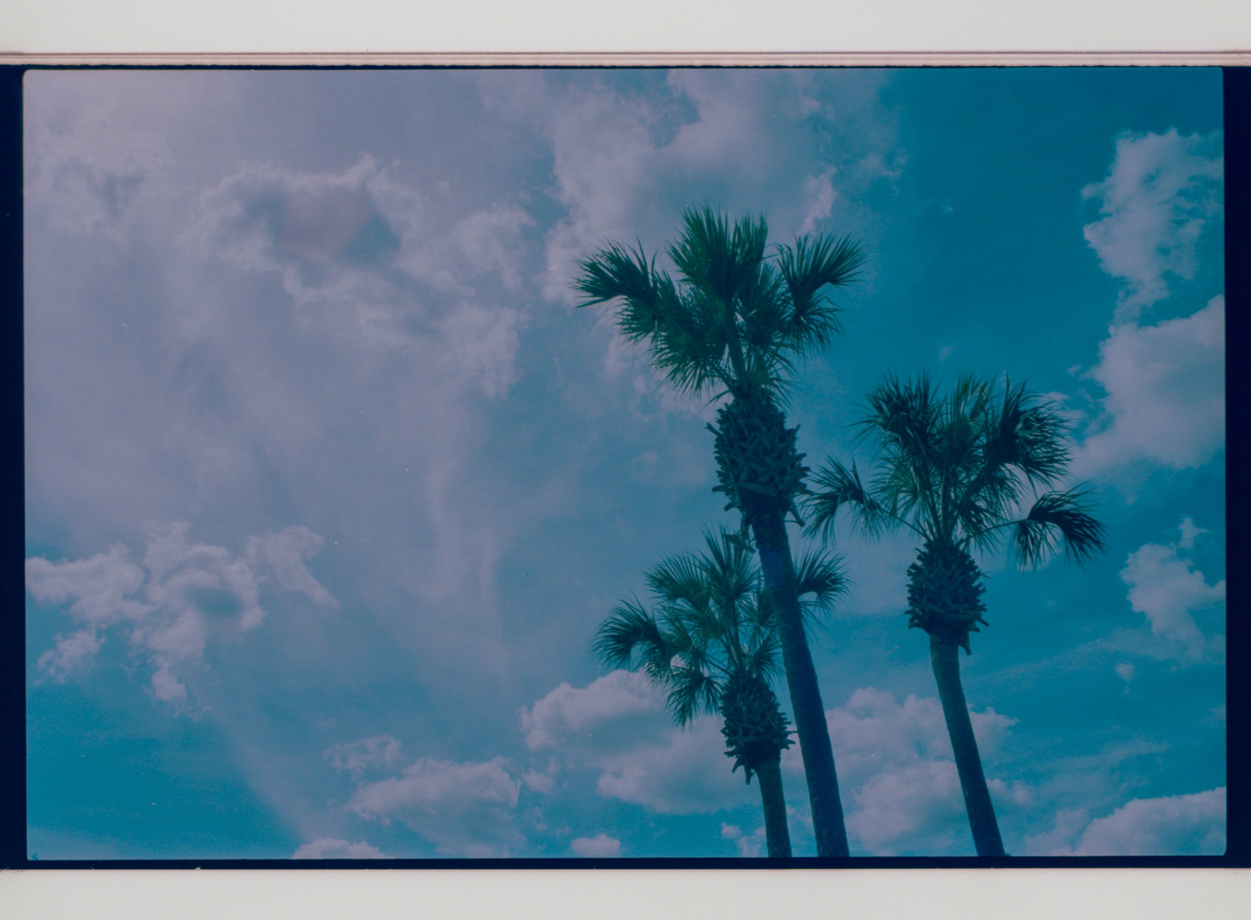 Untitled (14)a_2.jpg