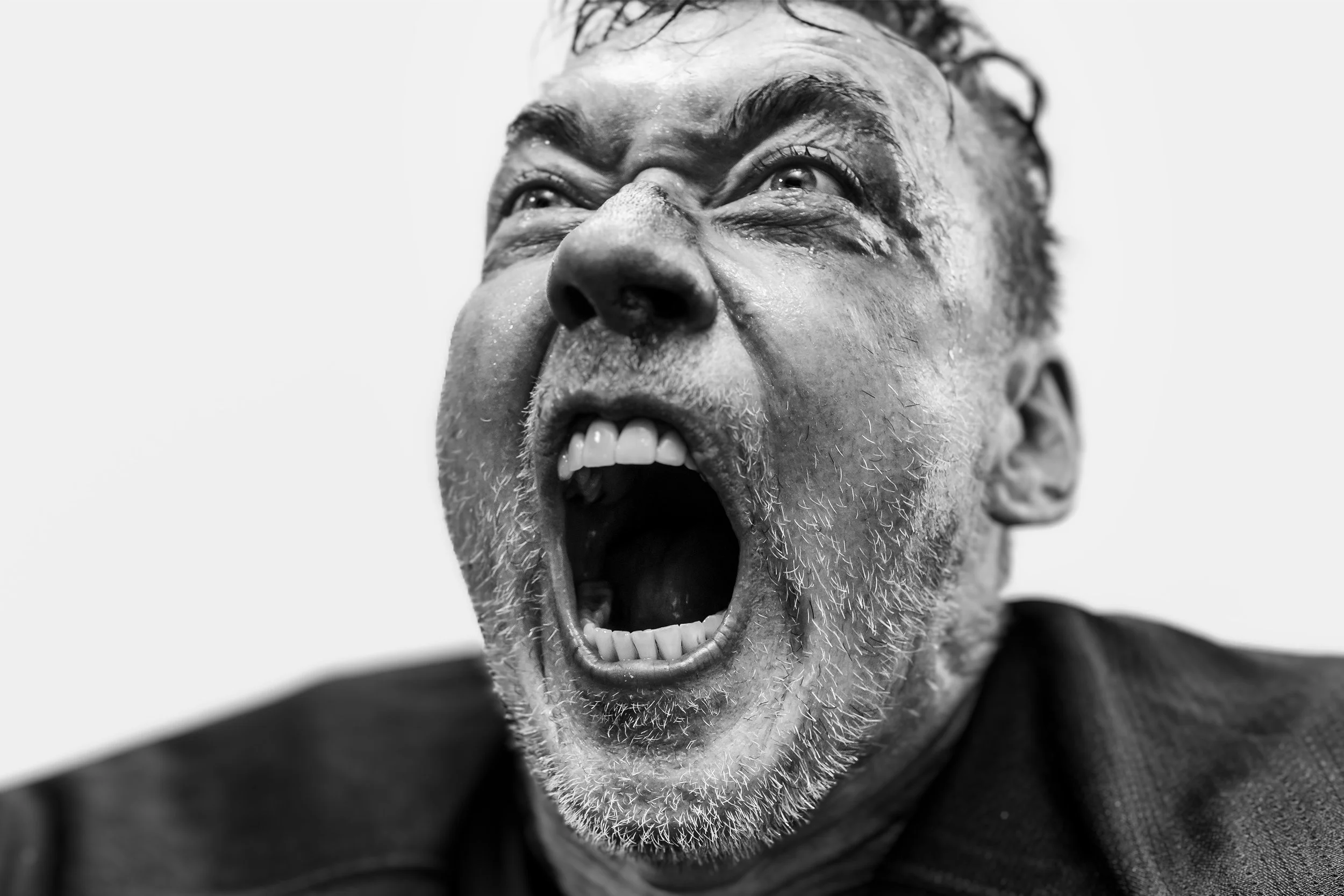 COVER WEBSITE Yell v1