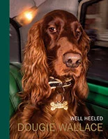 Well Heeled book cover