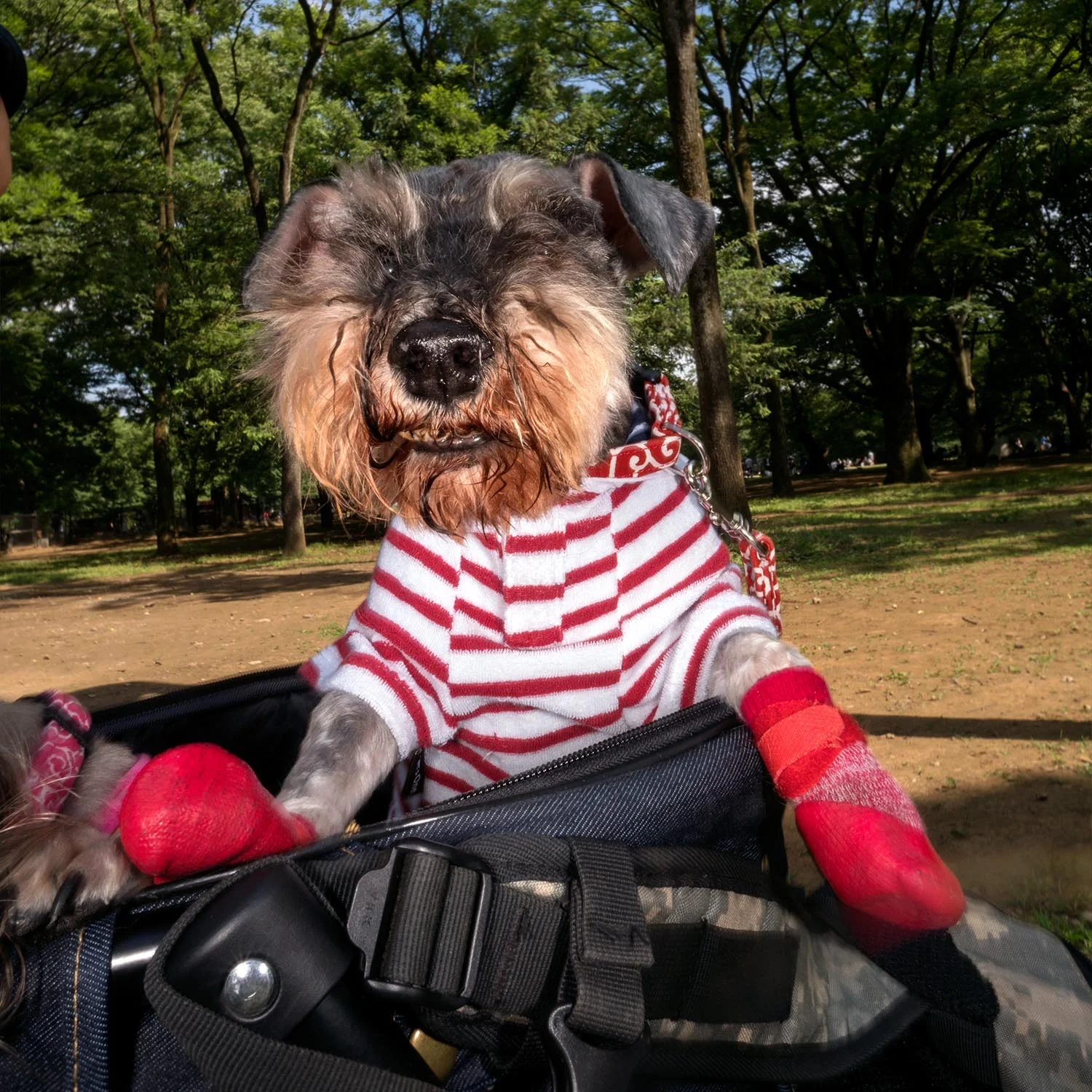 Well Heeled-22170 b.jpg