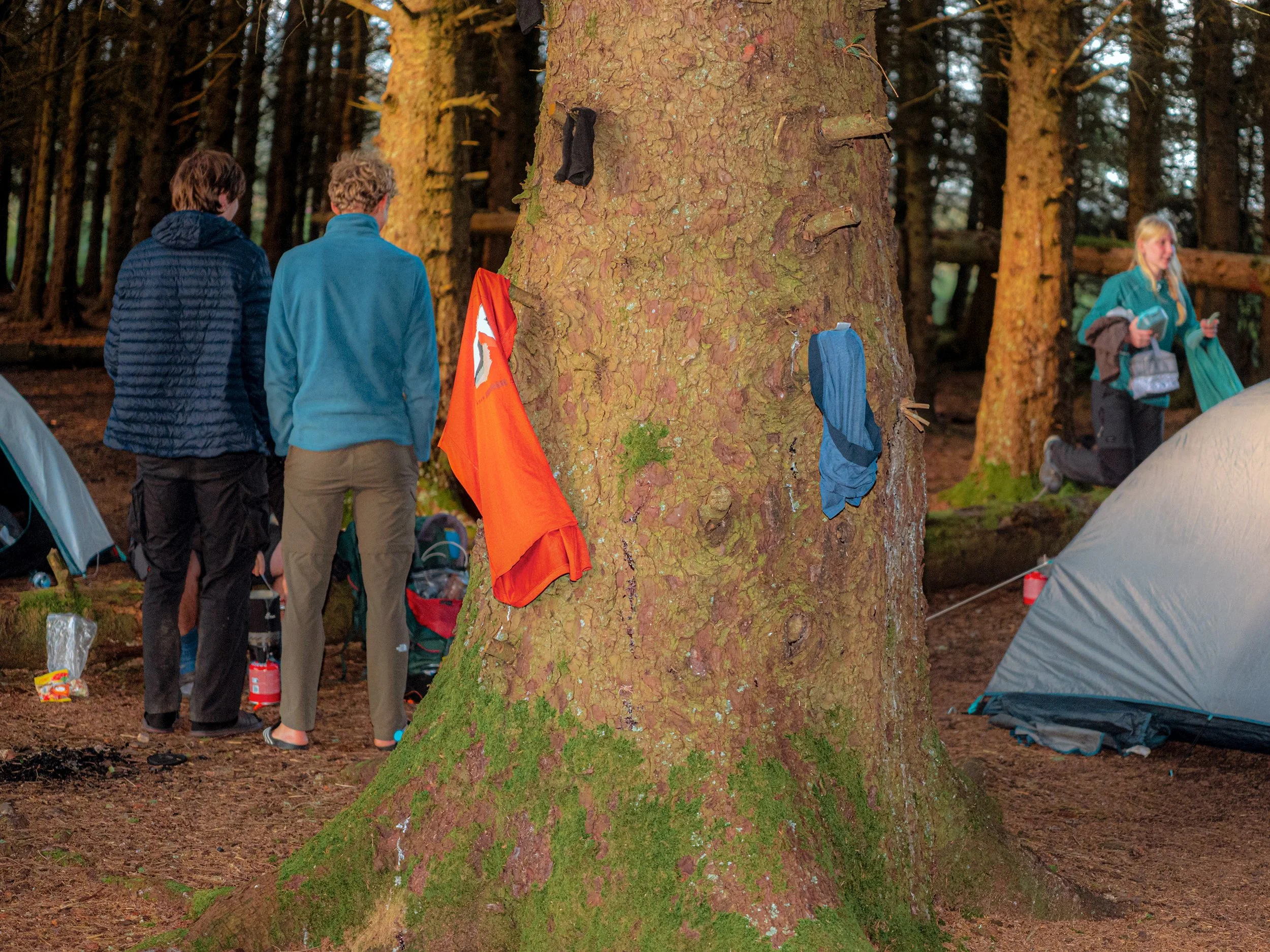 Campers stand among tents in a pine wood, with clothes hung on a tree to dry.